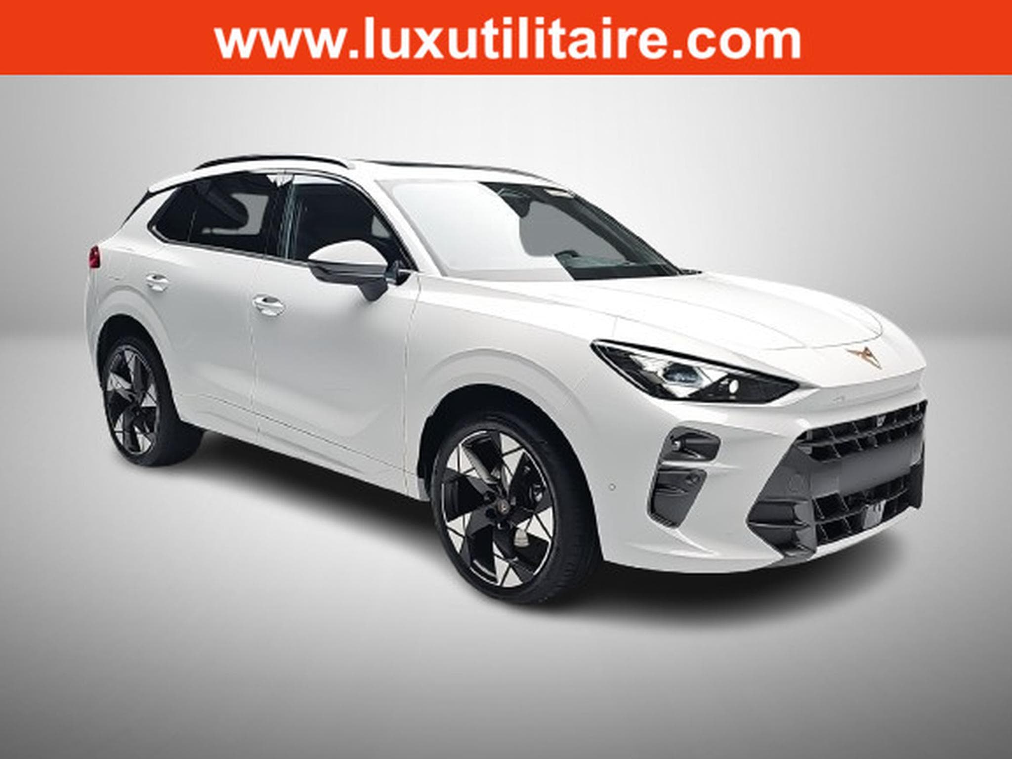 Cupra Terramar 1.5 eTSi DSG 150 (2026) - Photo 1