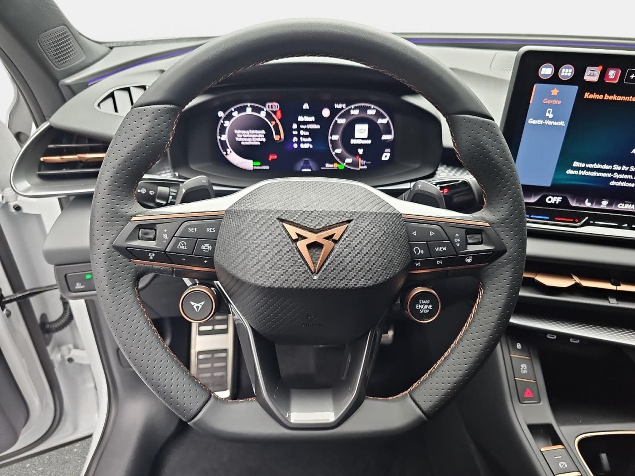 Cupra Terramar 1.5 eTSi DSG 150 (2026) - Photo 13