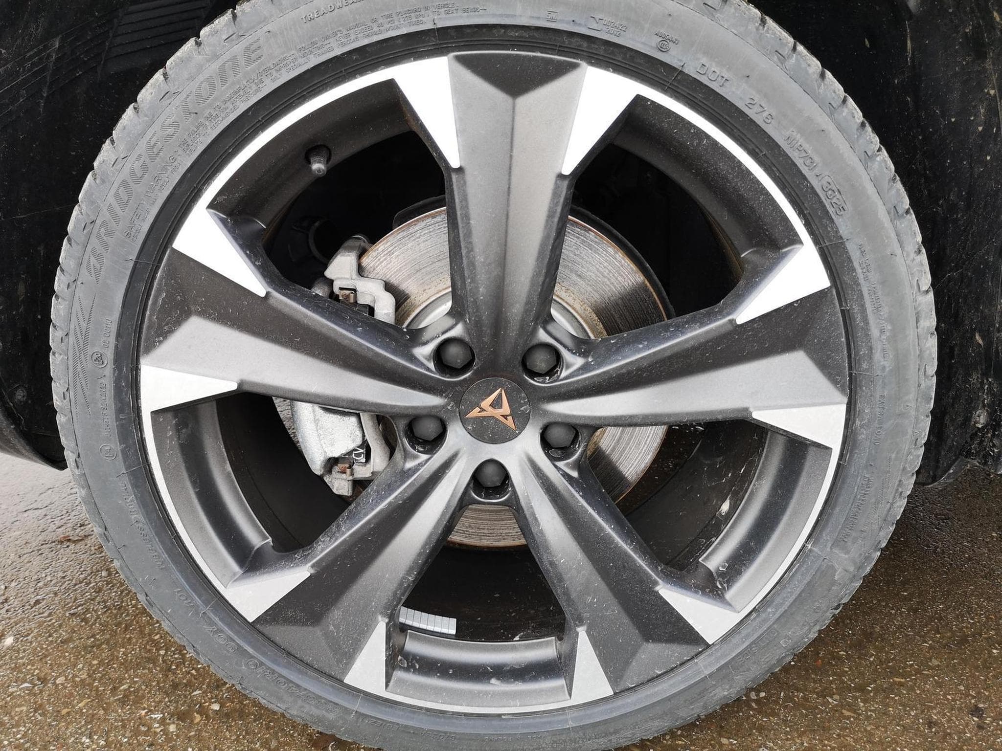 Cupra Ateca 1.5TSI 19 Zoll (2026) - Foto 3