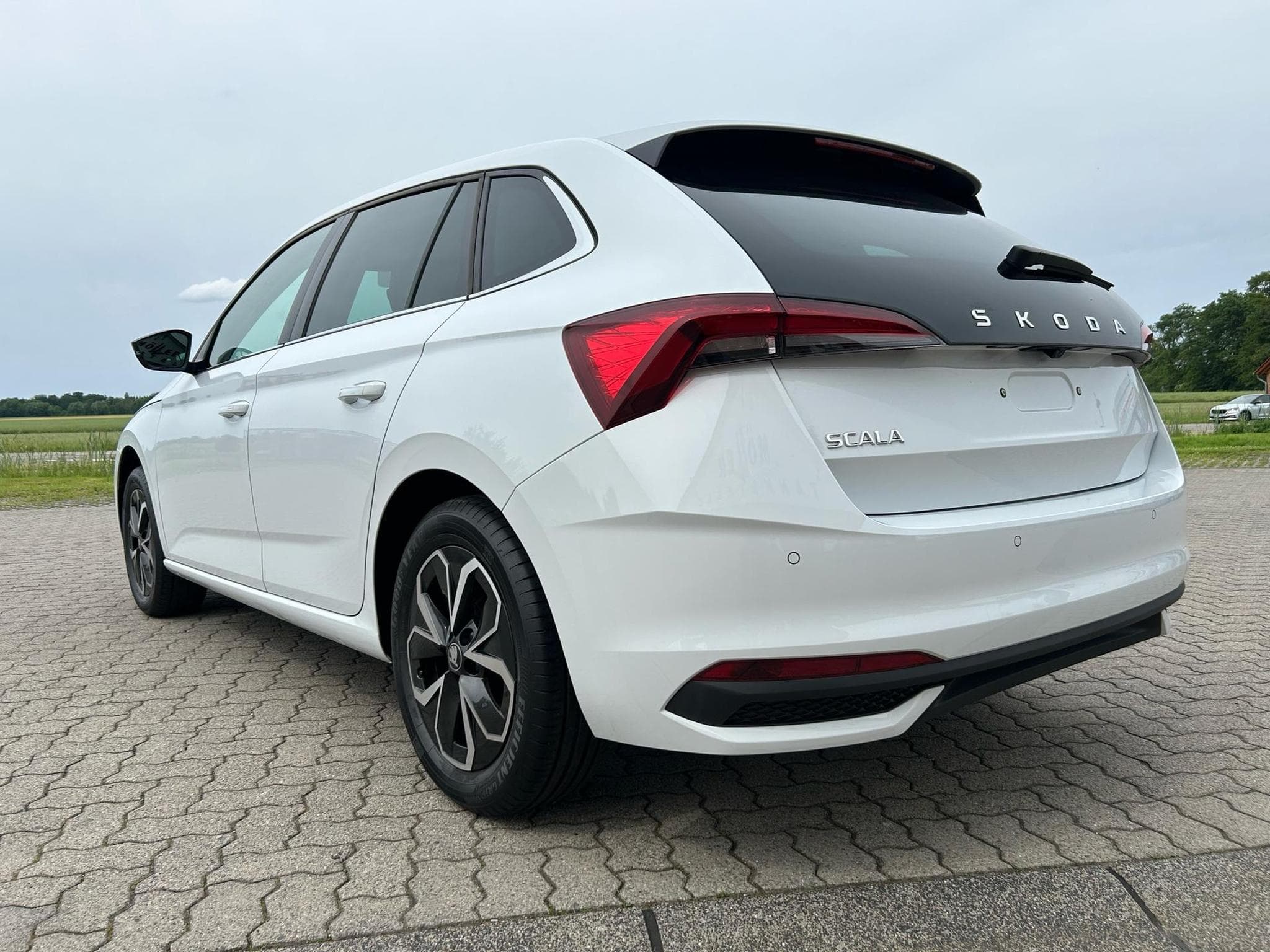 Skoda Scala Selection (2025) - Photo 17