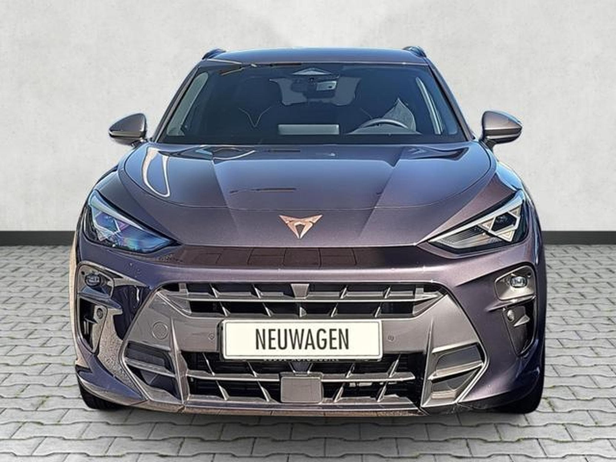 Cupra Terramar 1.5 eTSI 110 kW (2026) - Foto 2