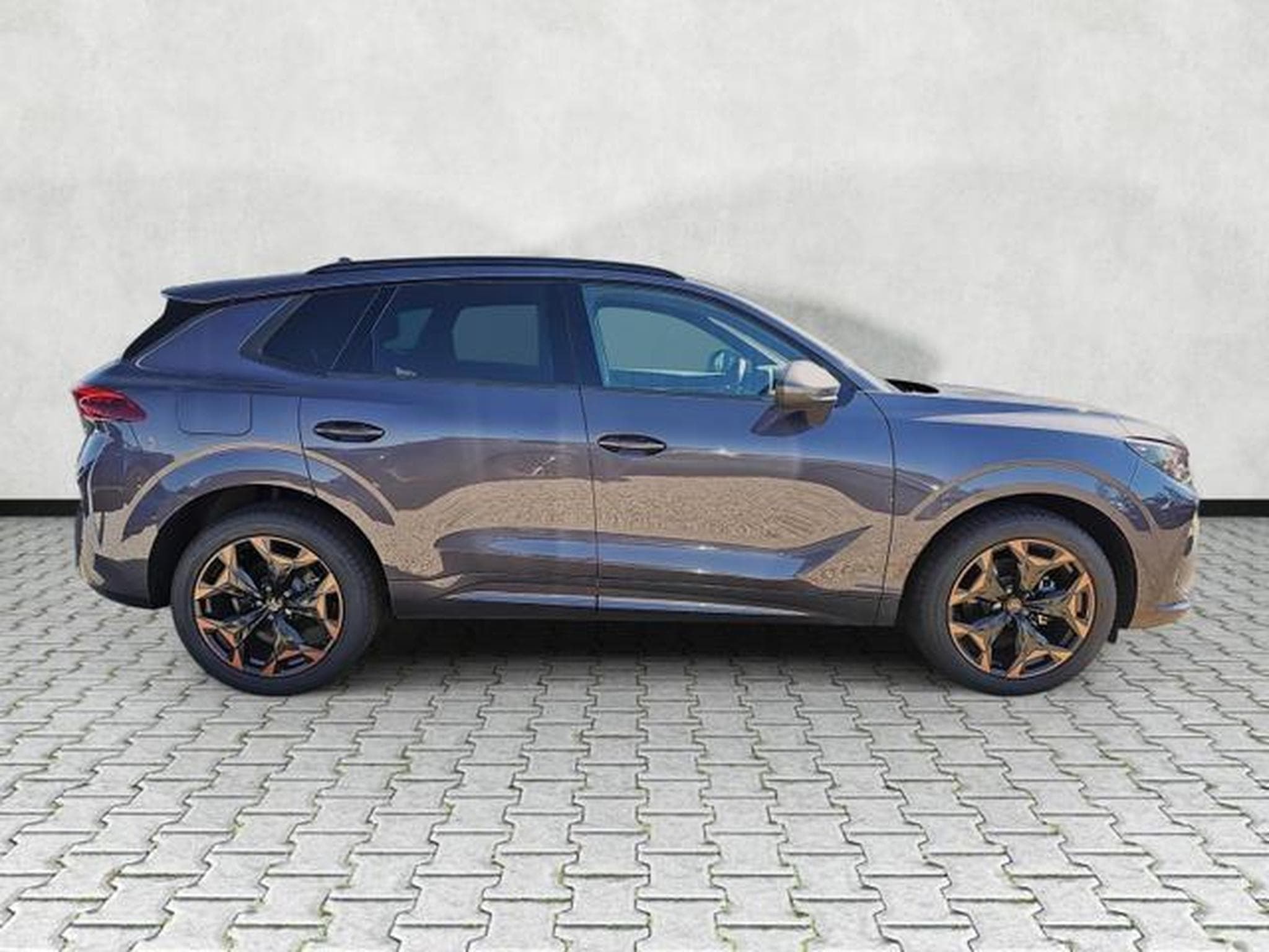 Cupra Terramar 1.5 eTSI 110 kW (2026) - Foto 8