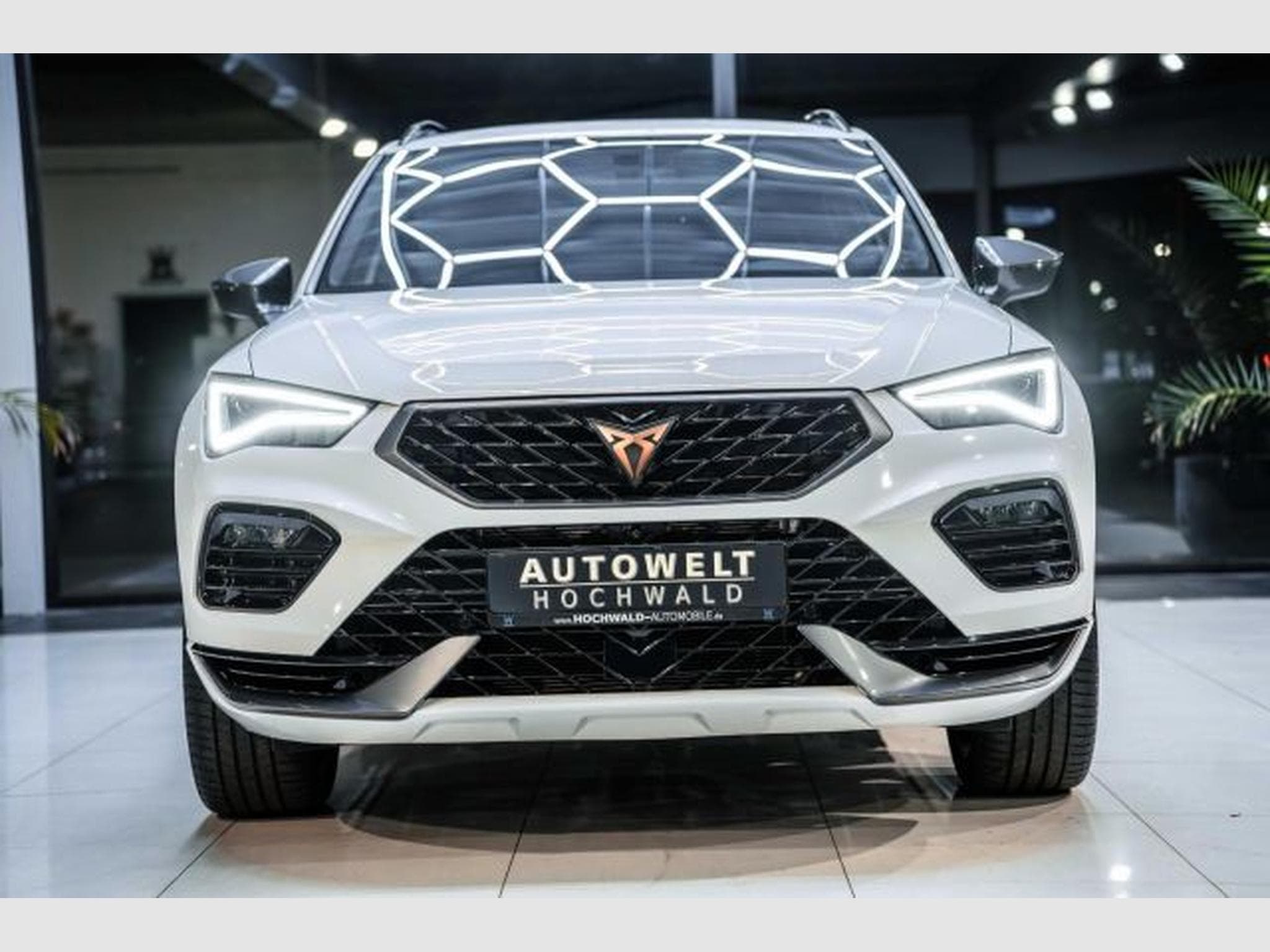 Cupra Ateca Ateca VZ 2.0 TSI DSG 4Drive NAVI RFK LED SHZG (2024) - Foto 5
