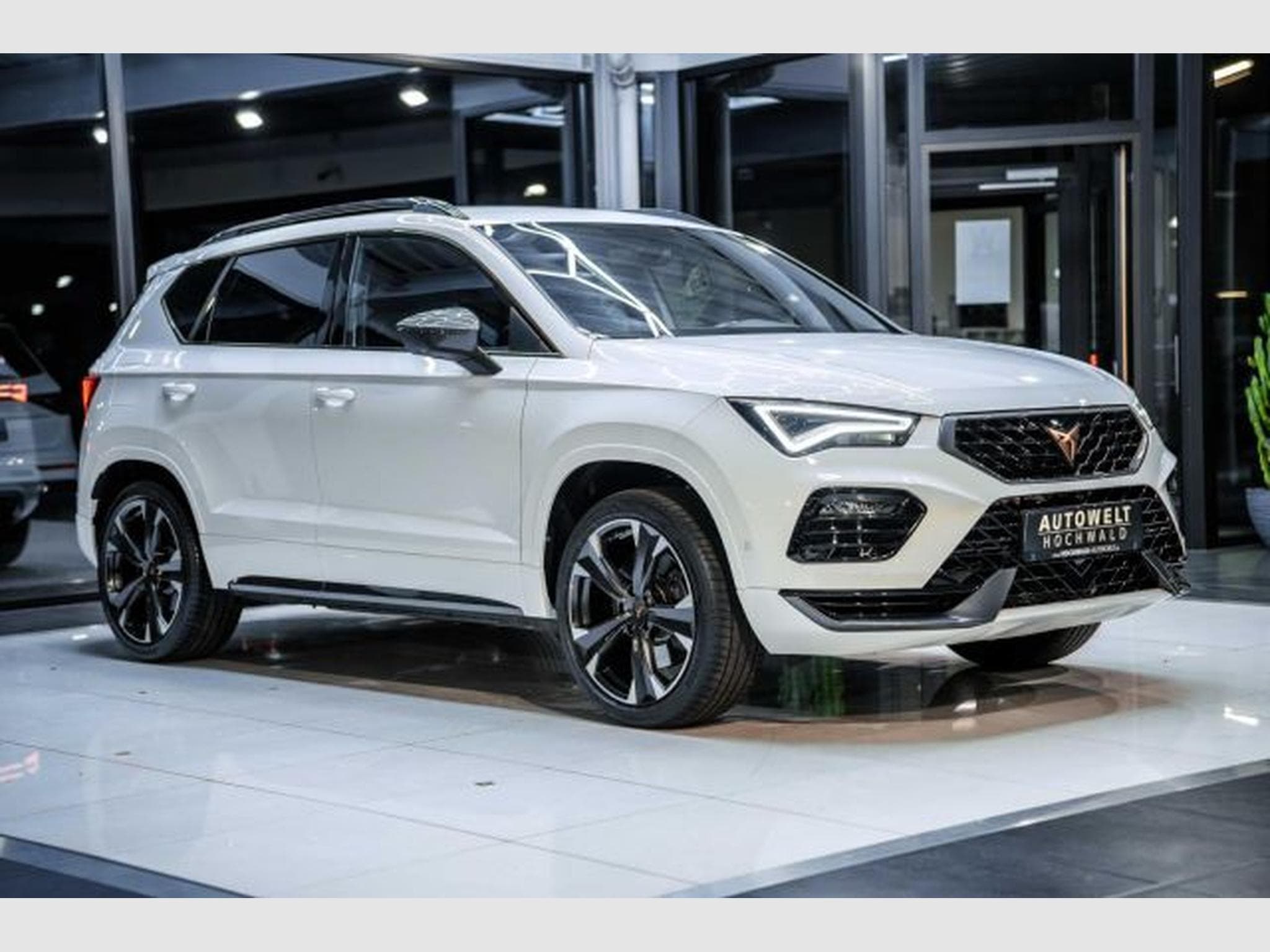 Cupra Ateca Ateca VZ 2.0 TSI DSG 4Drive NAVI RFK LED SHZG (2024) - Foto 6