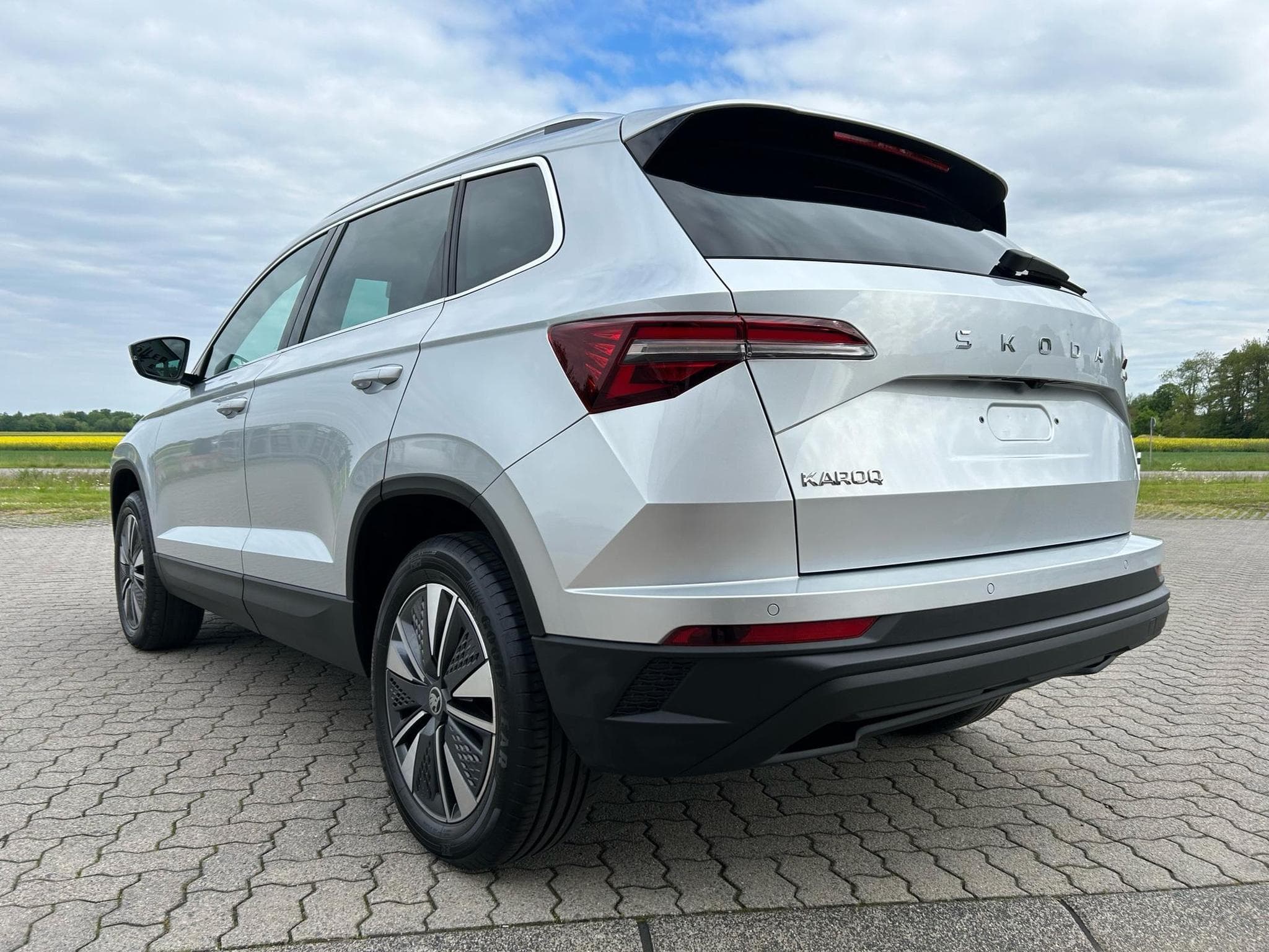 Skoda Karoq Selection (2025) - Foto 17