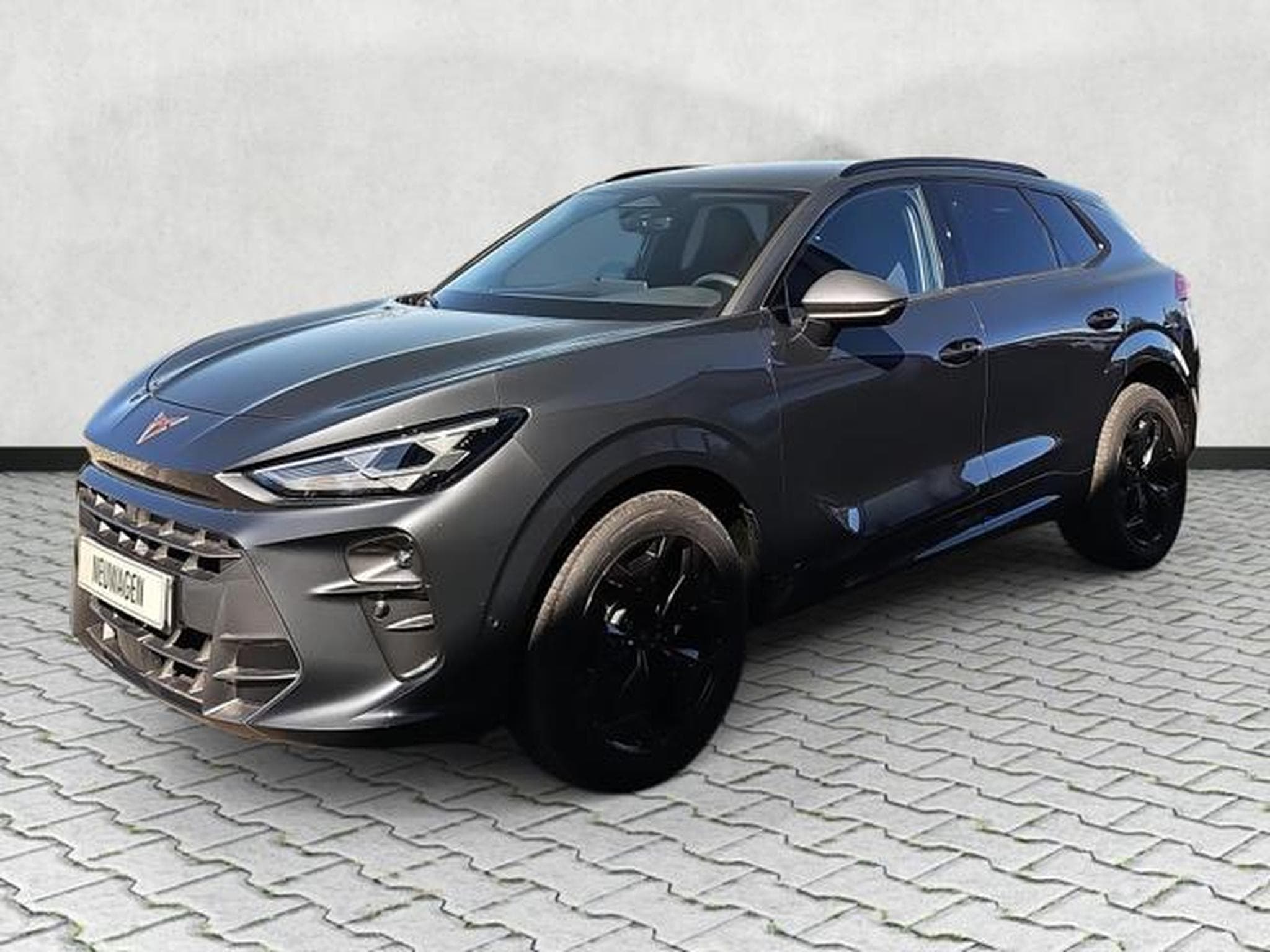 Cupra Terramar 1.5 eTSI 110 kW (2025) - Photo 3