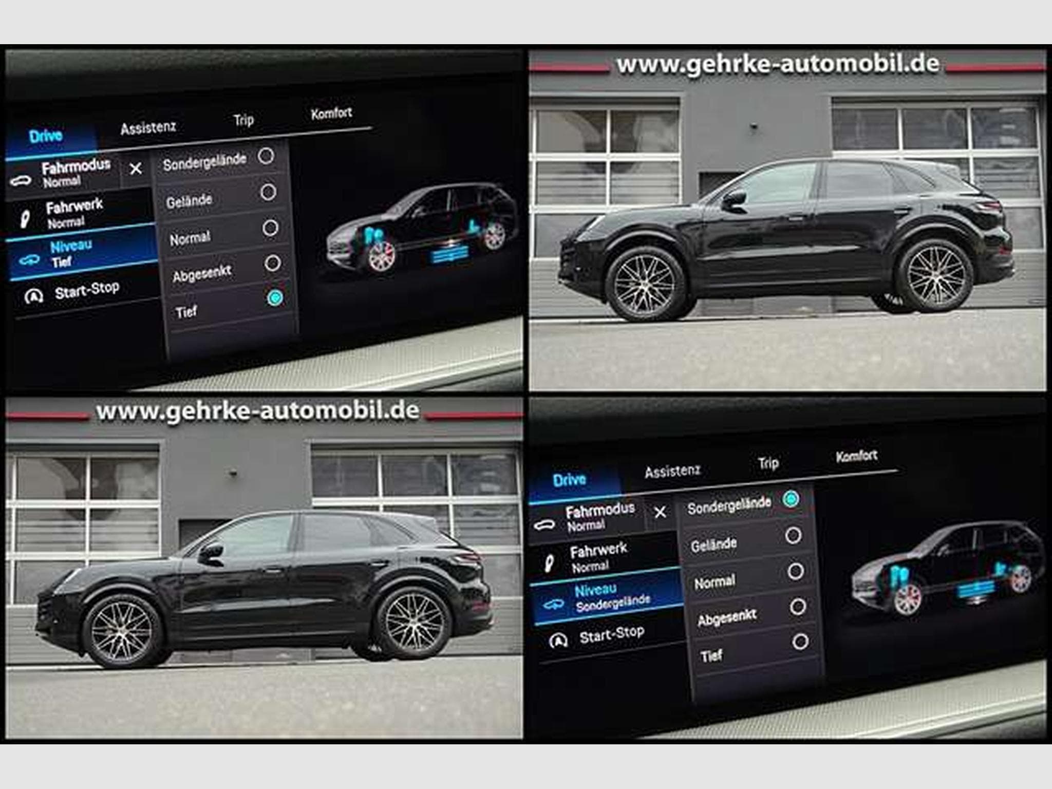 Porsche Cayenne Cayenne*21"RS-Spyder,Luft,Pano,ACC,BOSE,LHZ,360° (2025) - Foto 13