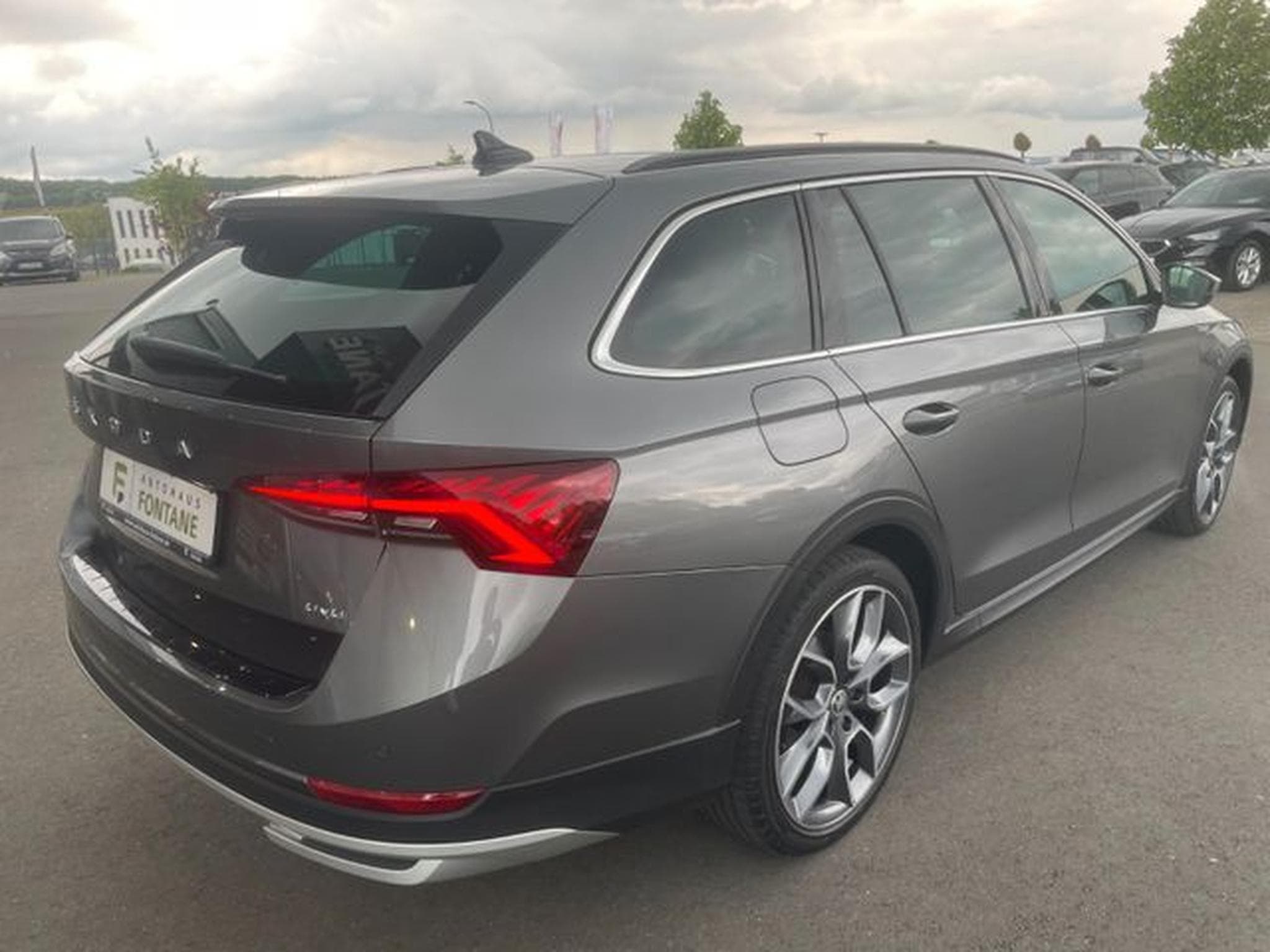 Skoda Octavia Octavia 2,0TDi Kombi Scout 4x4 Pano AHK Standhz (2022) - Foto 6