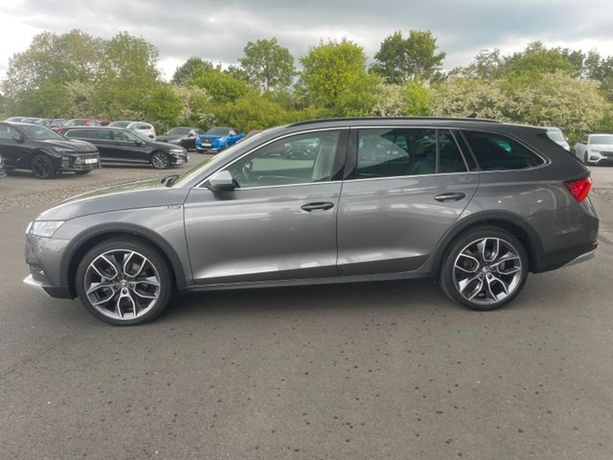 Skoda Octavia Octavia 2,0TDi Kombi Scout 4x4 Pano AHK Standhz (2022) - Foto 9