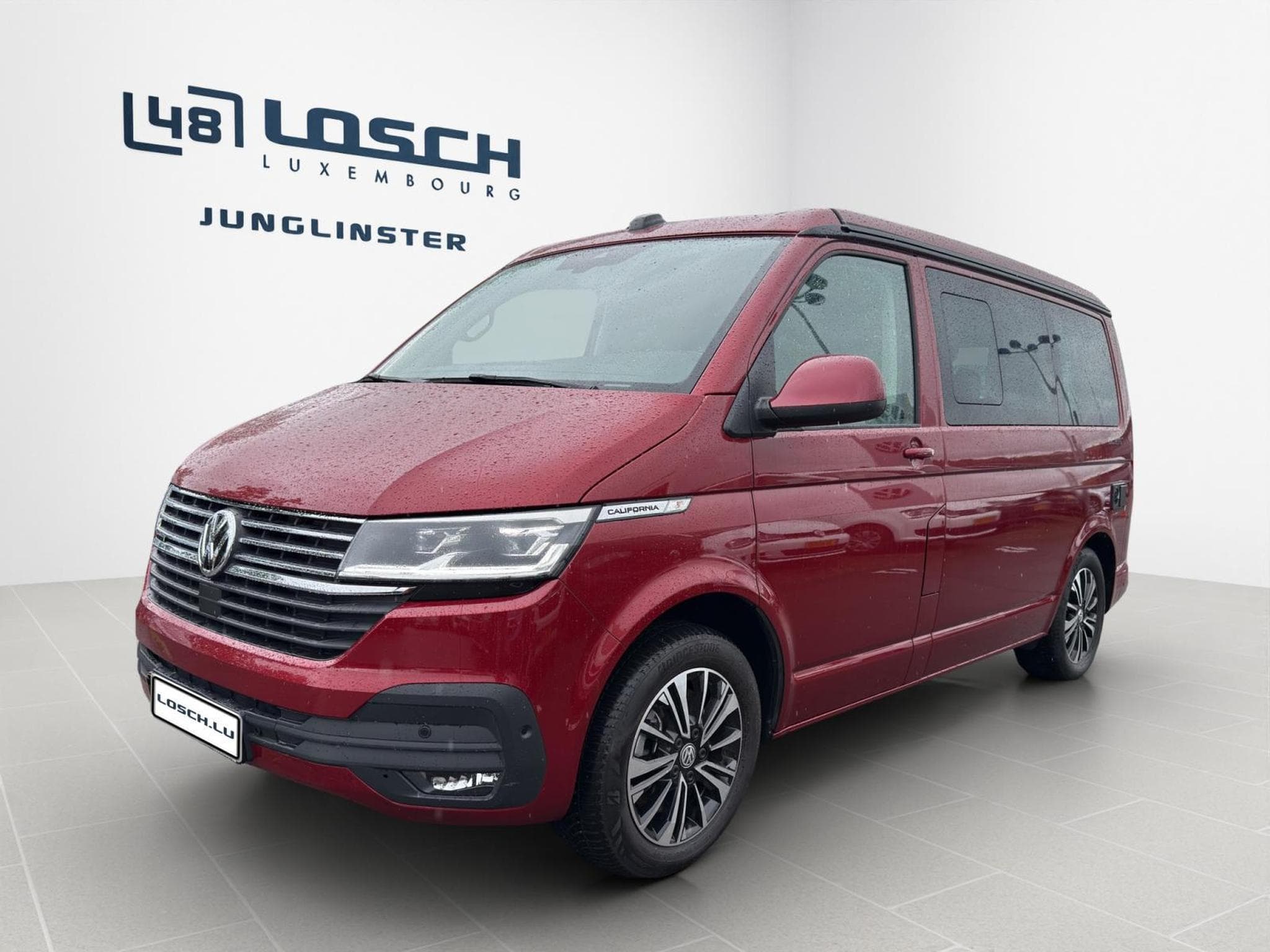 VW T6.1 Ocean (2024) - Foto 1
