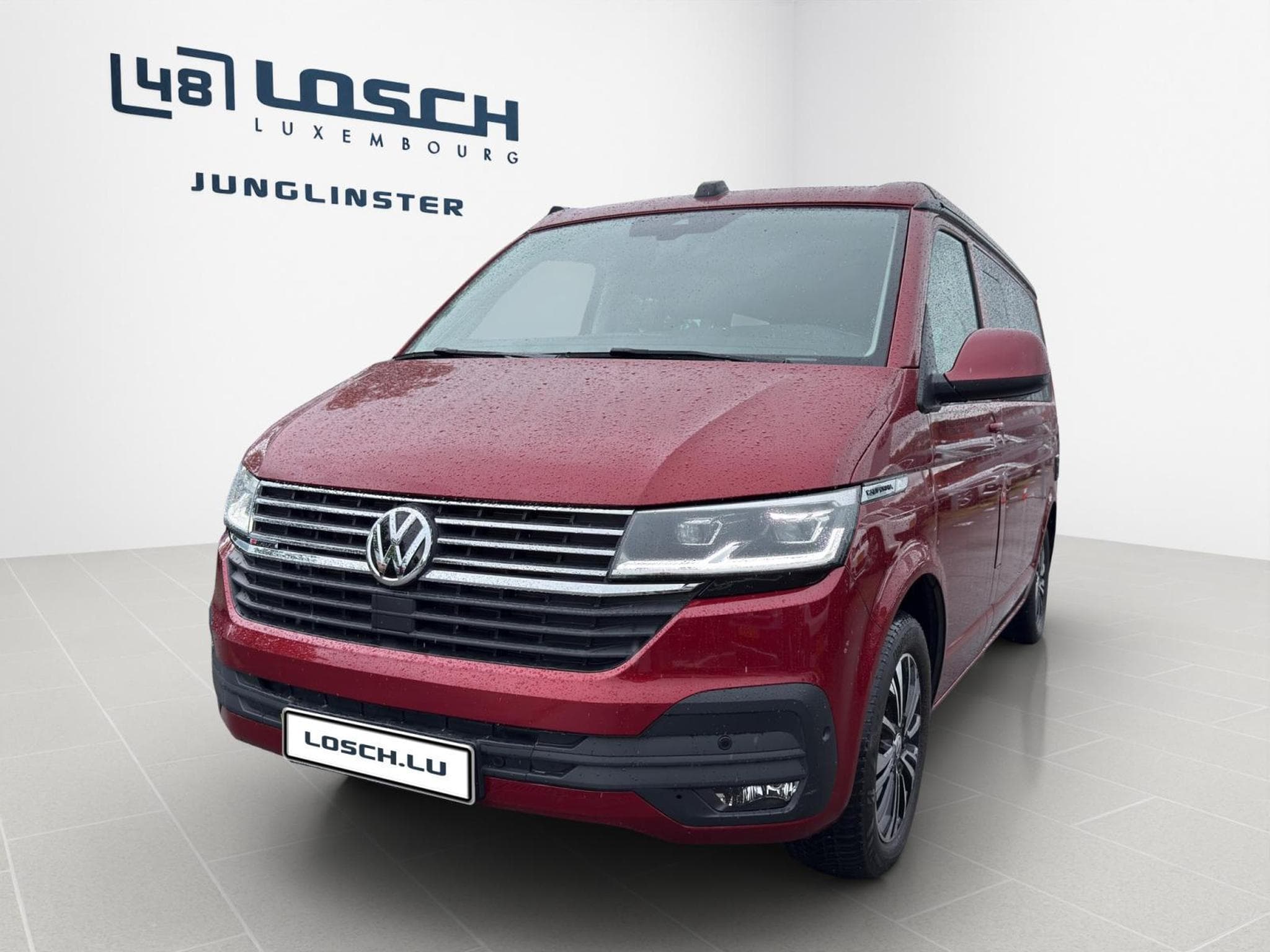 VW T6.1 Ocean (2024) - Foto 3