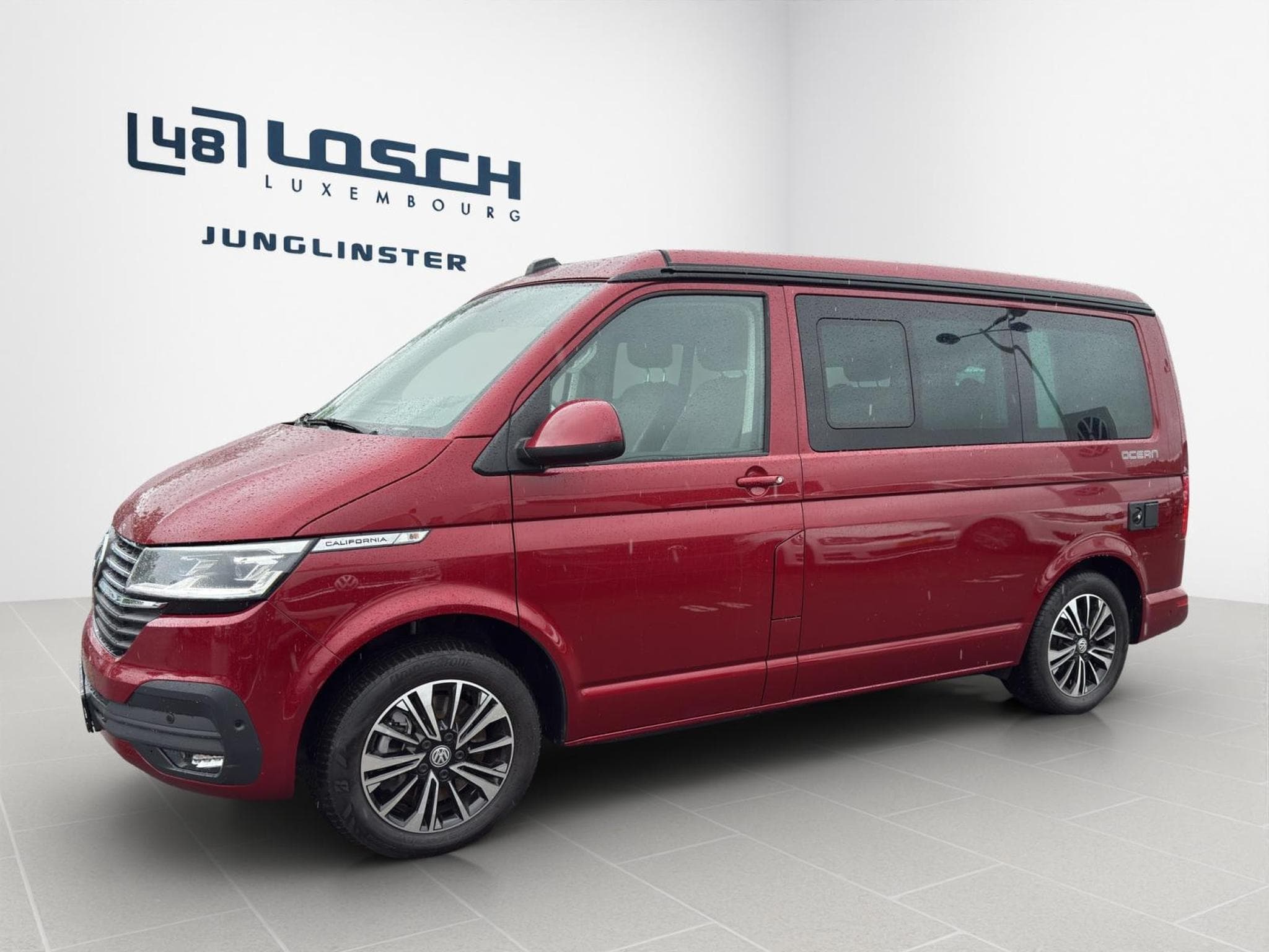 VW T6.1 Ocean (2024) - Foto 4