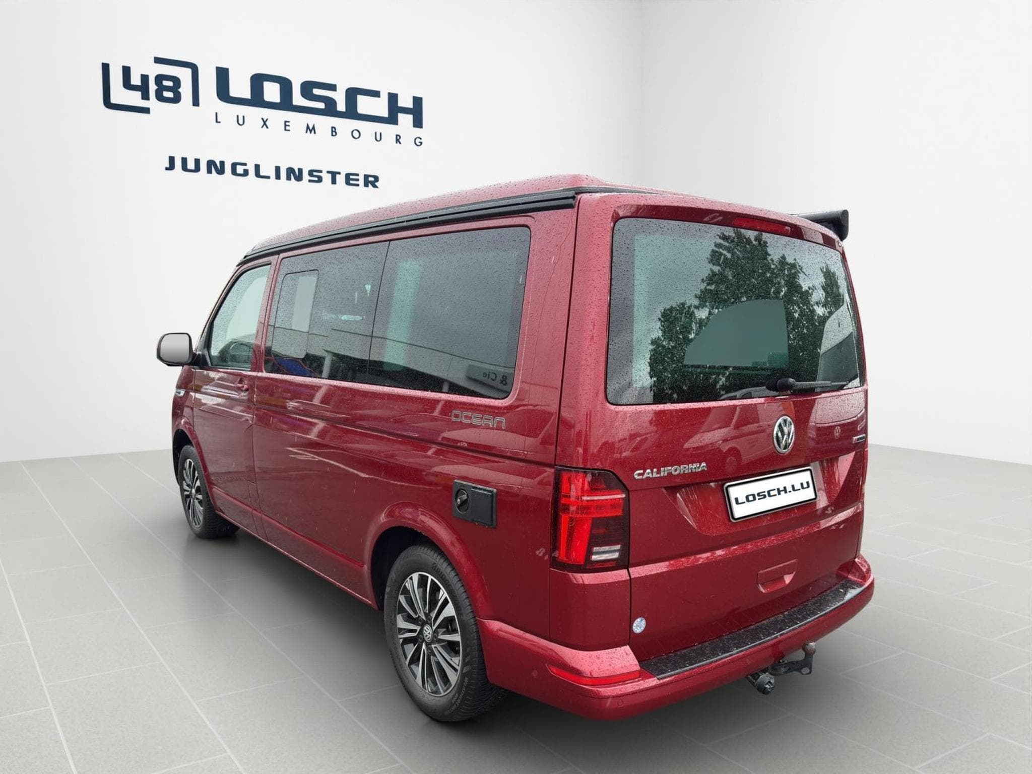 VW T6.1 Ocean (2024) - Foto 6