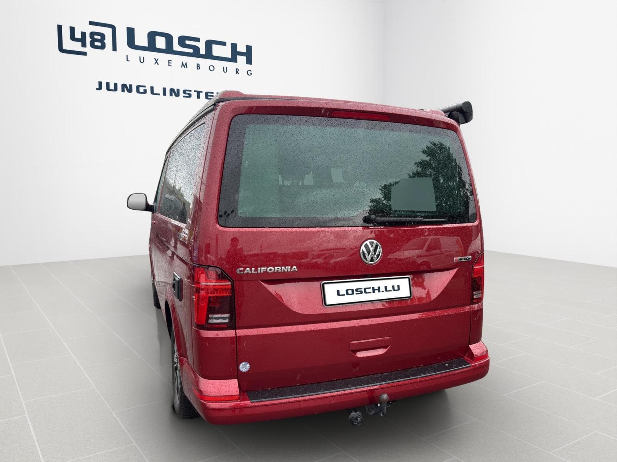 VW T6.1 Ocean (2024) - Foto 7