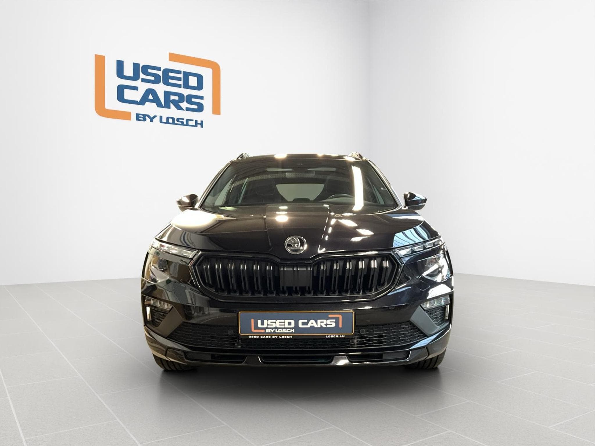 Skoda Kamiq Monte-Carlo+BVM+Pano+AHK (2024) - Photo 3