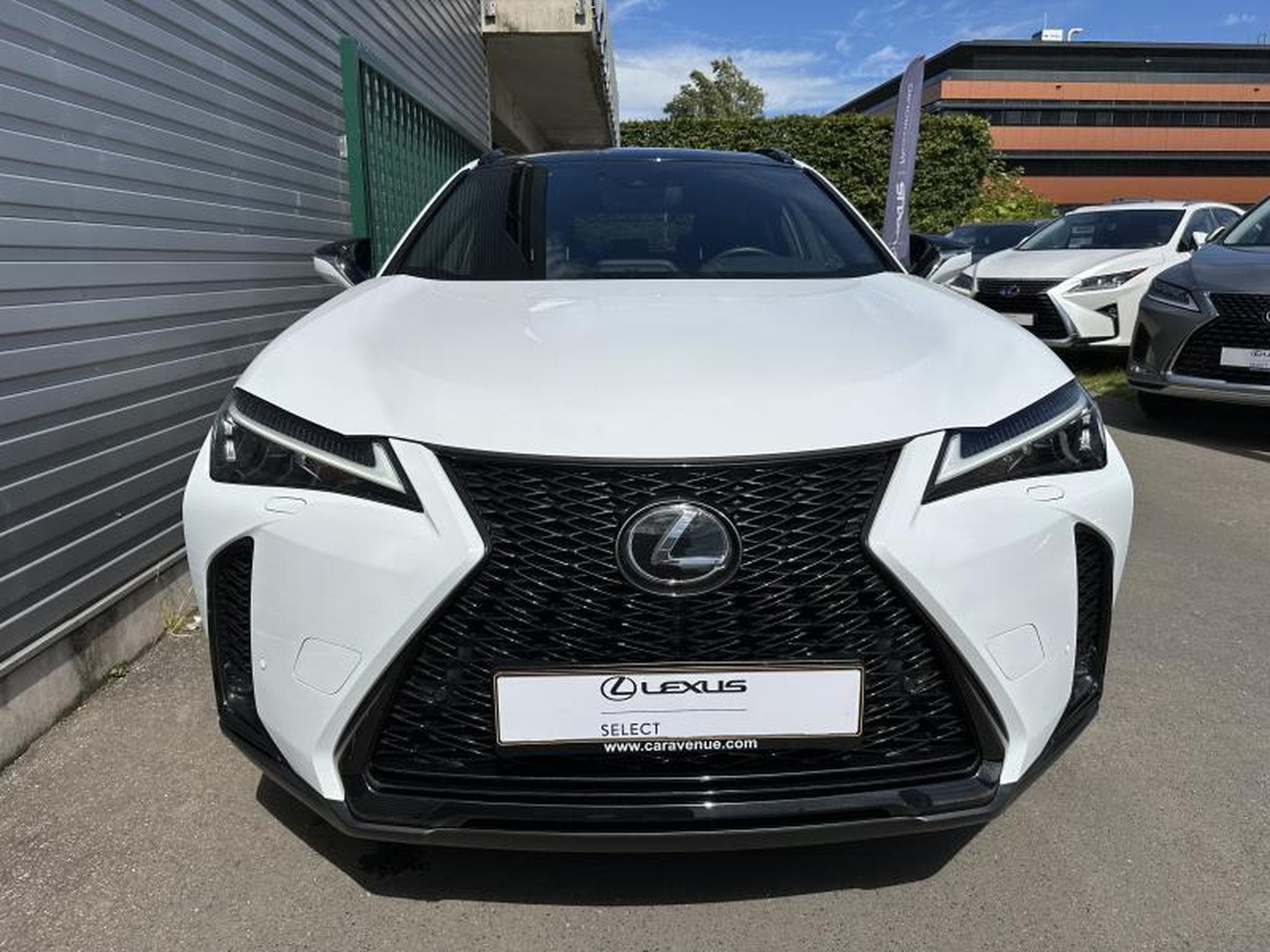 Lexus UX F SPORT Design (2023) - Photo 28
