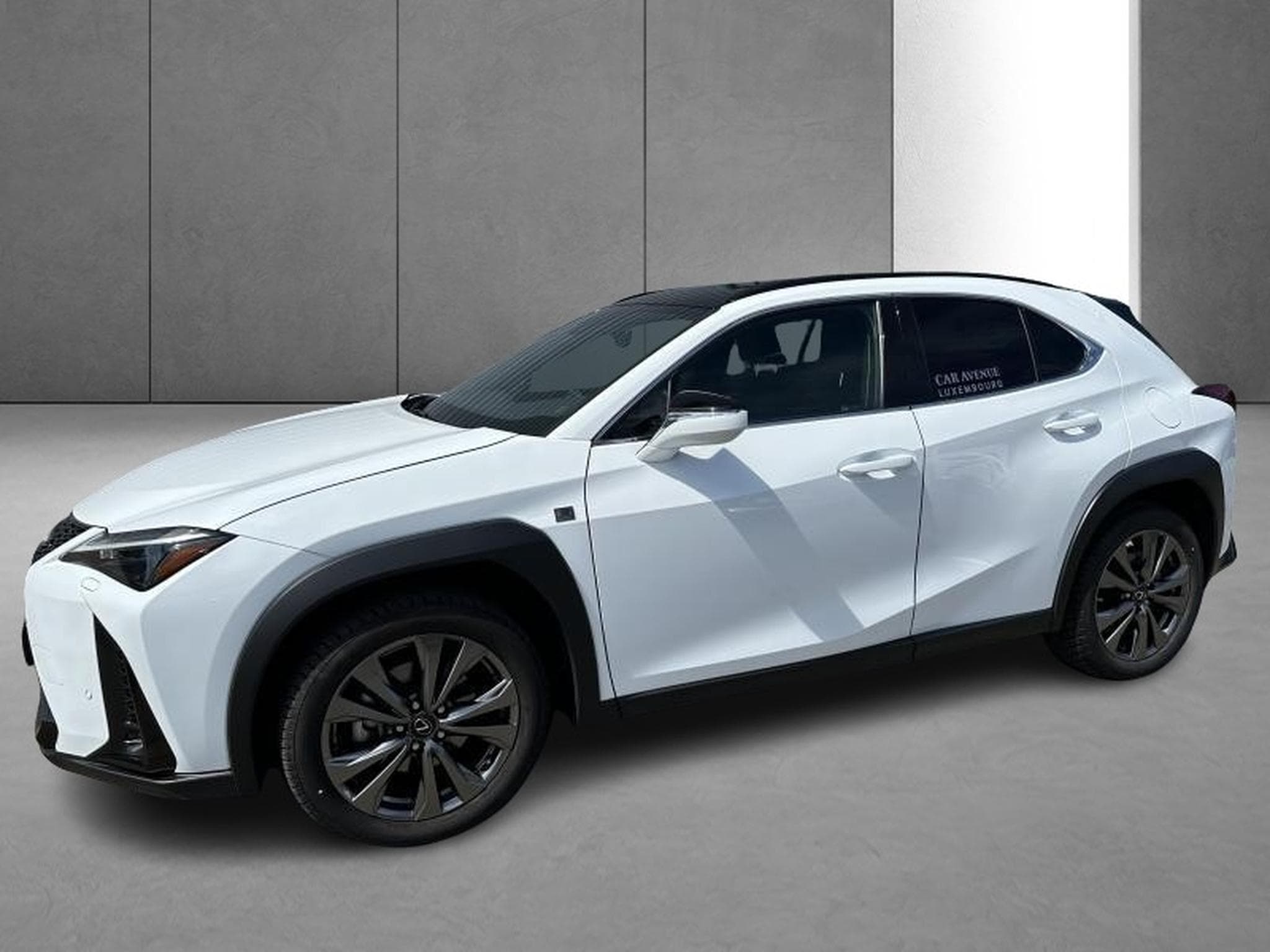 Lexus UX F SPORT Design (2023) - Photo 4