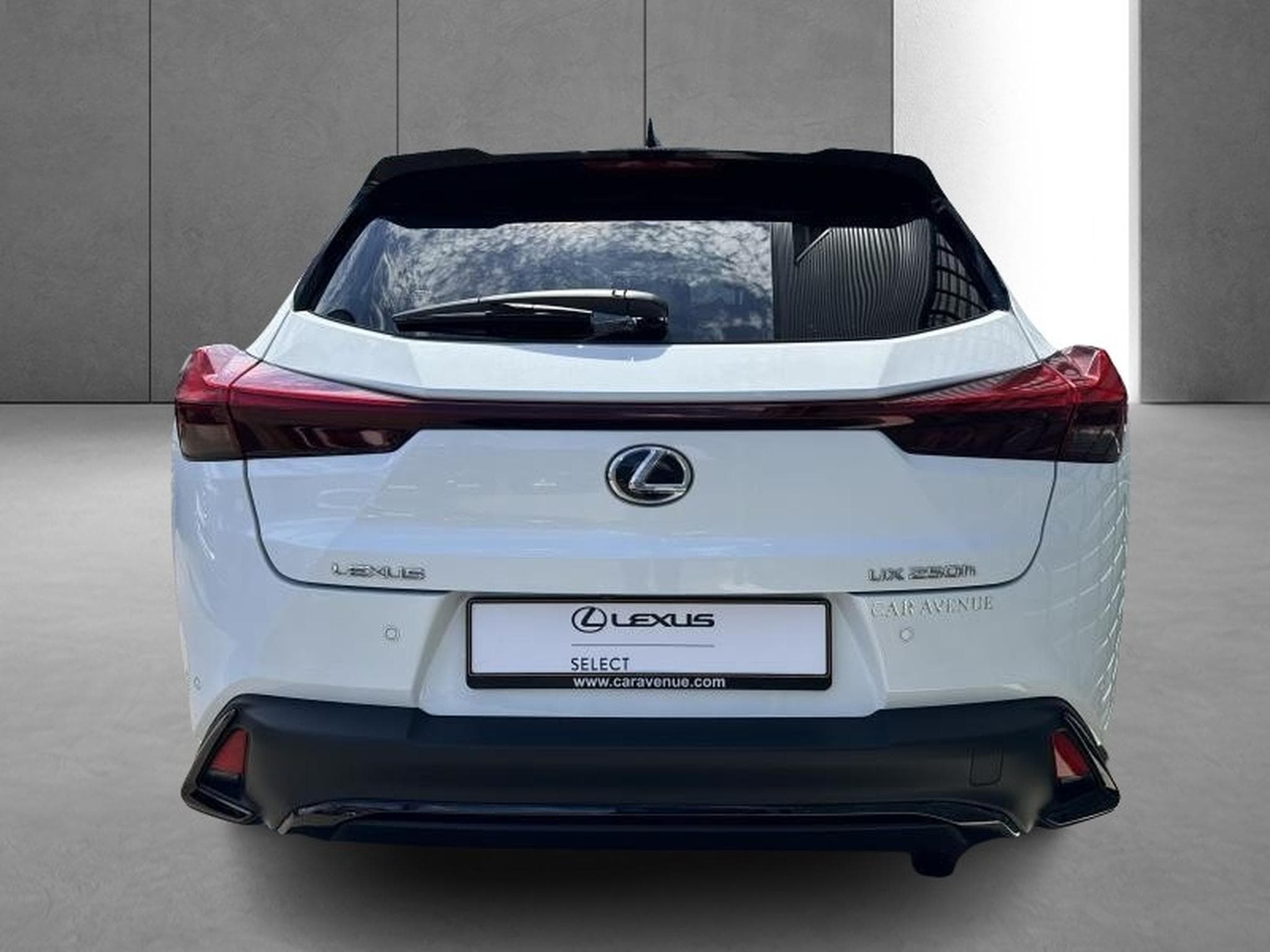 Lexus UX F SPORT Design (2023) - Photo 9