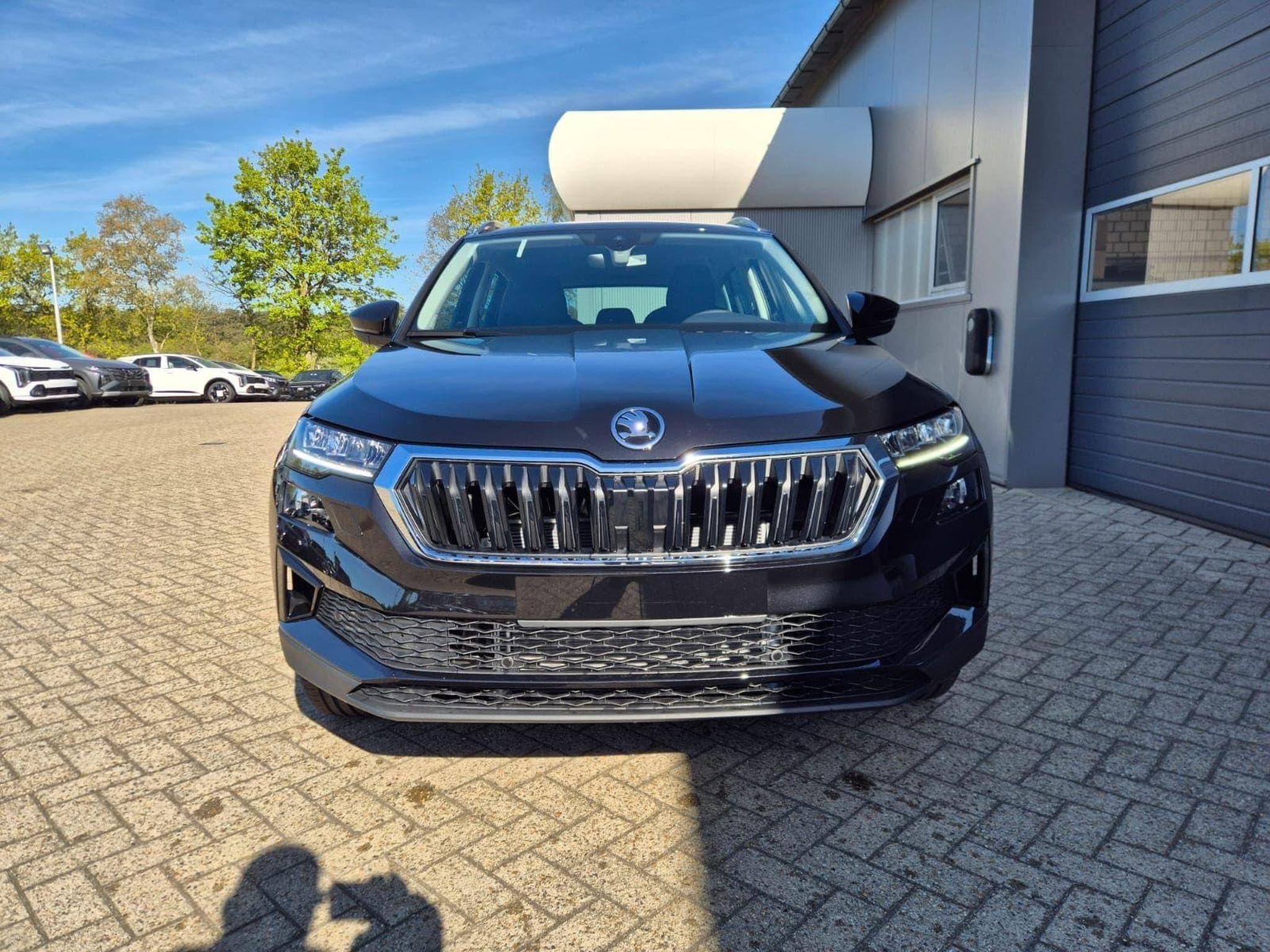 Skoda Karoq 1.5 TSI 150PS (2026) - Foto 8