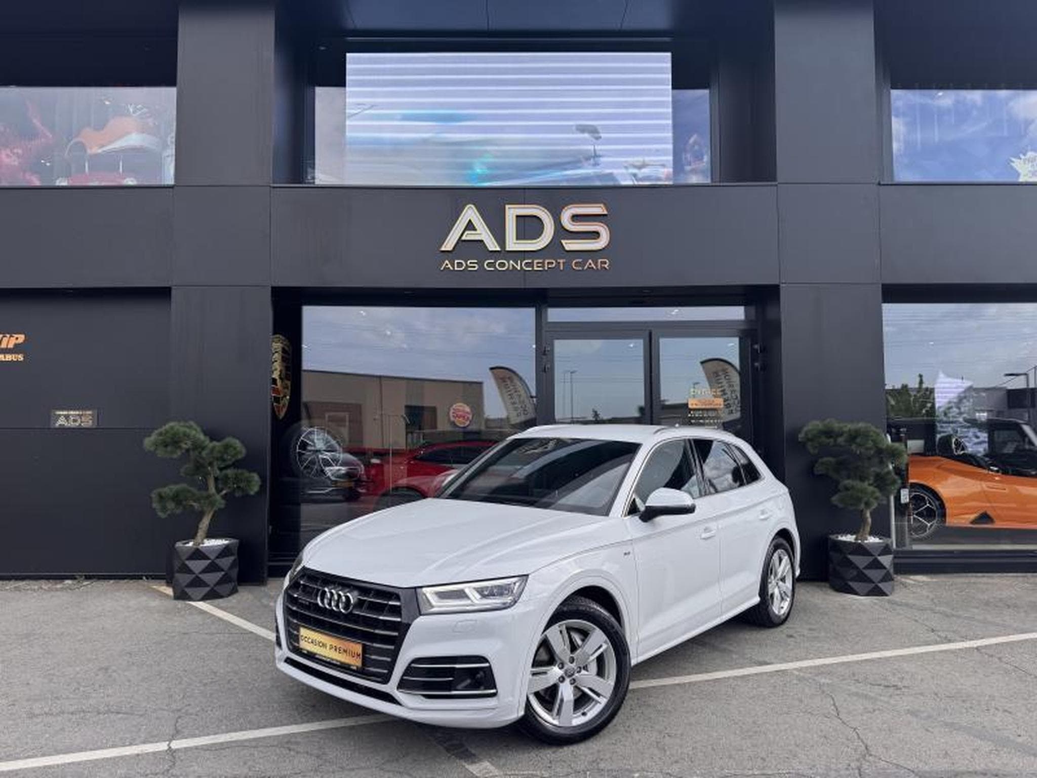 Audi Q5 Q5 55 TFSI E S LINE (2020) - Foto 1