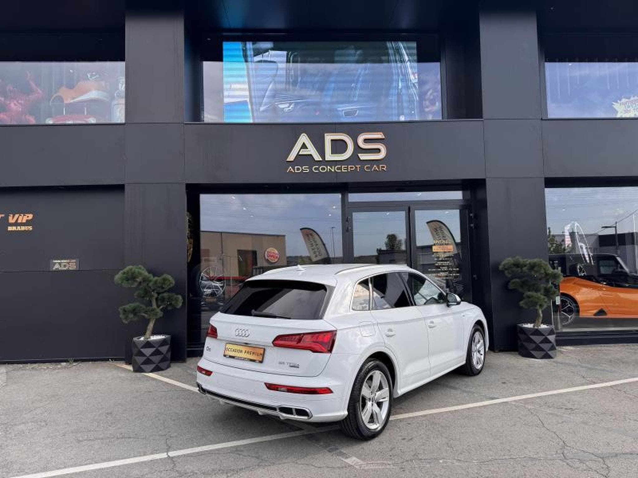 Audi Q5 Q5 55 TFSI E S LINE (2020) - Foto 17