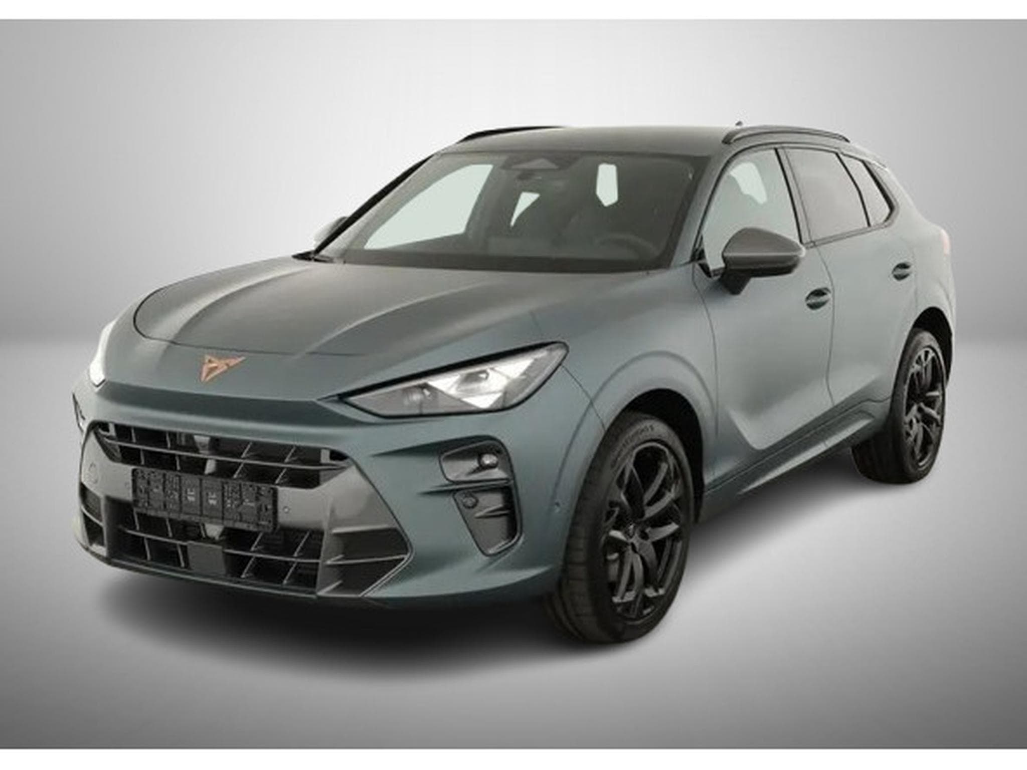 Cupra Terramar 2.0 TSI DSG 265 VZ 4Drive Americas Cup (2025) - Photo 2