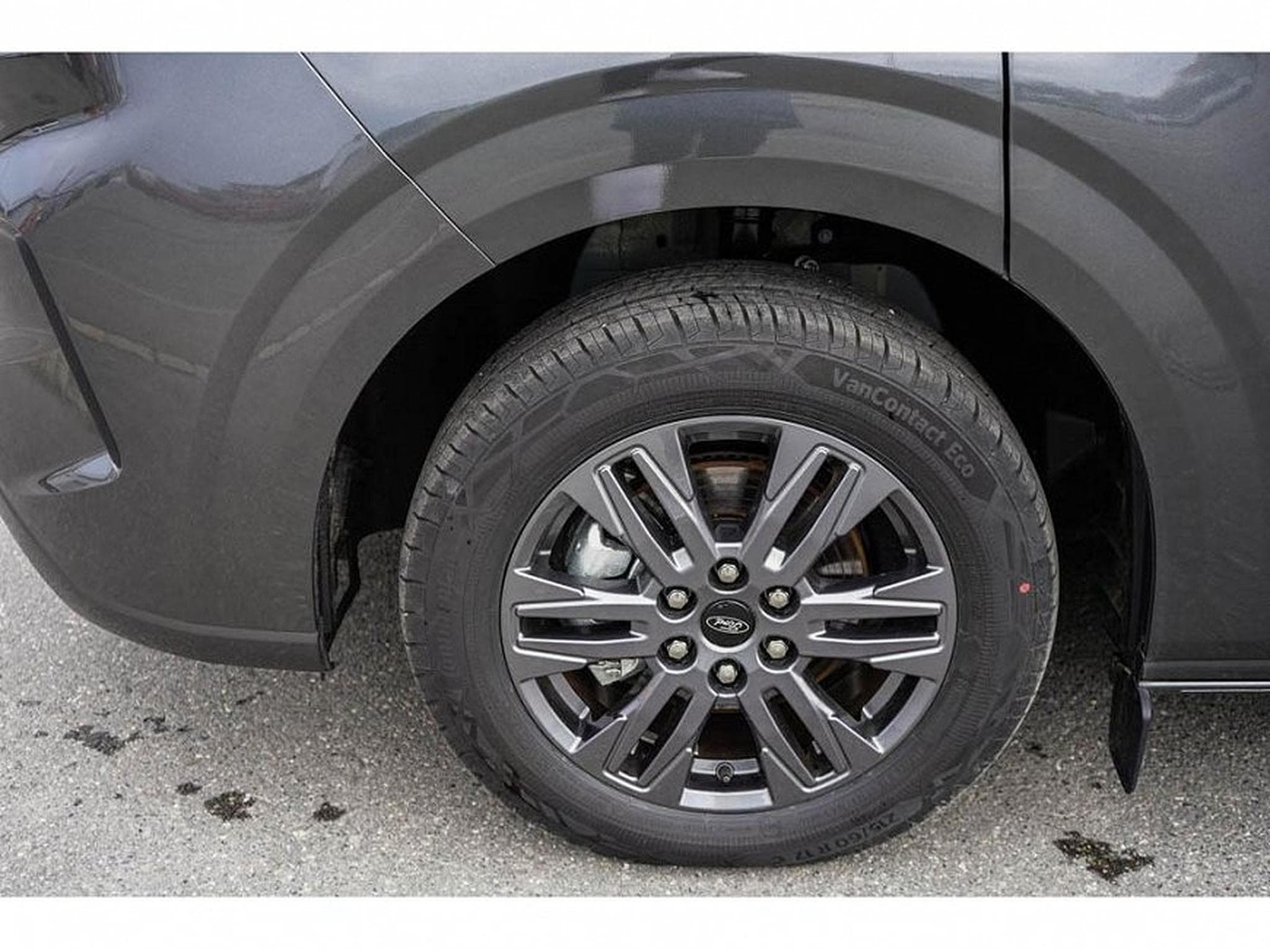 Ford Tourneo (2026) - Photo 6