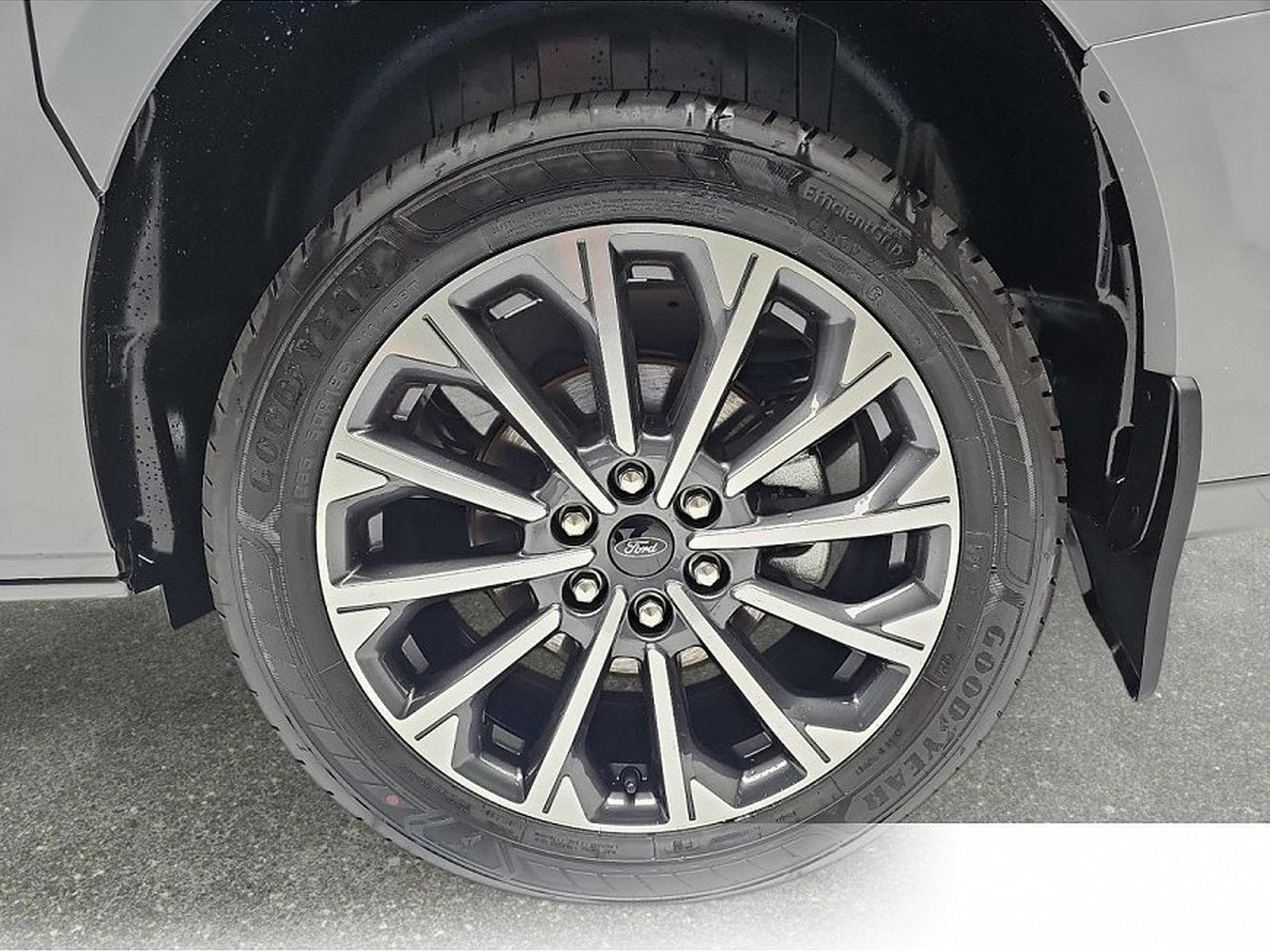 Ford Tourneo (2026) - Photo 5