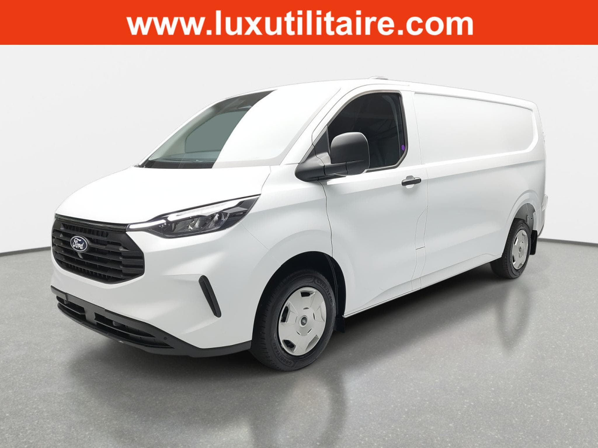 Ford Transit 2.0 ECOBLUE 136 L2H1 Trend (2025) - Photo 2