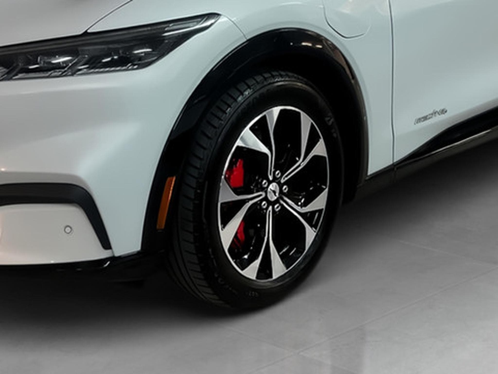 Ford Mustang Mach-E AWD (2022) - Photo 20
