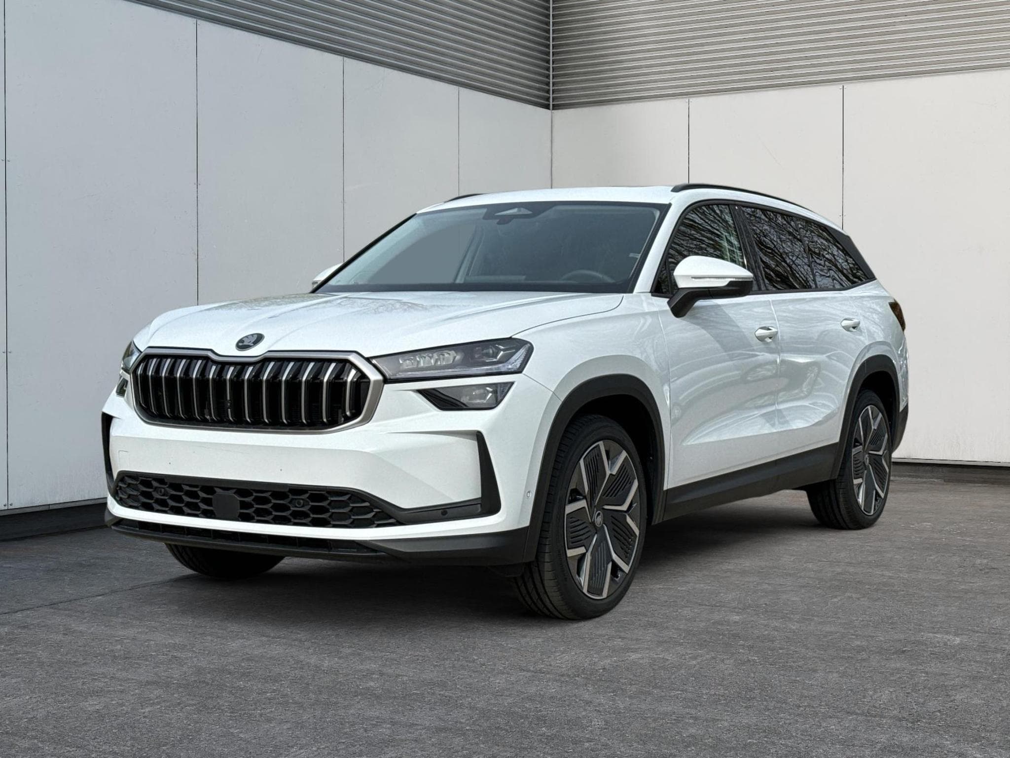 Skoda Kodiaq Selection Business Edition (2025) - Foto 1