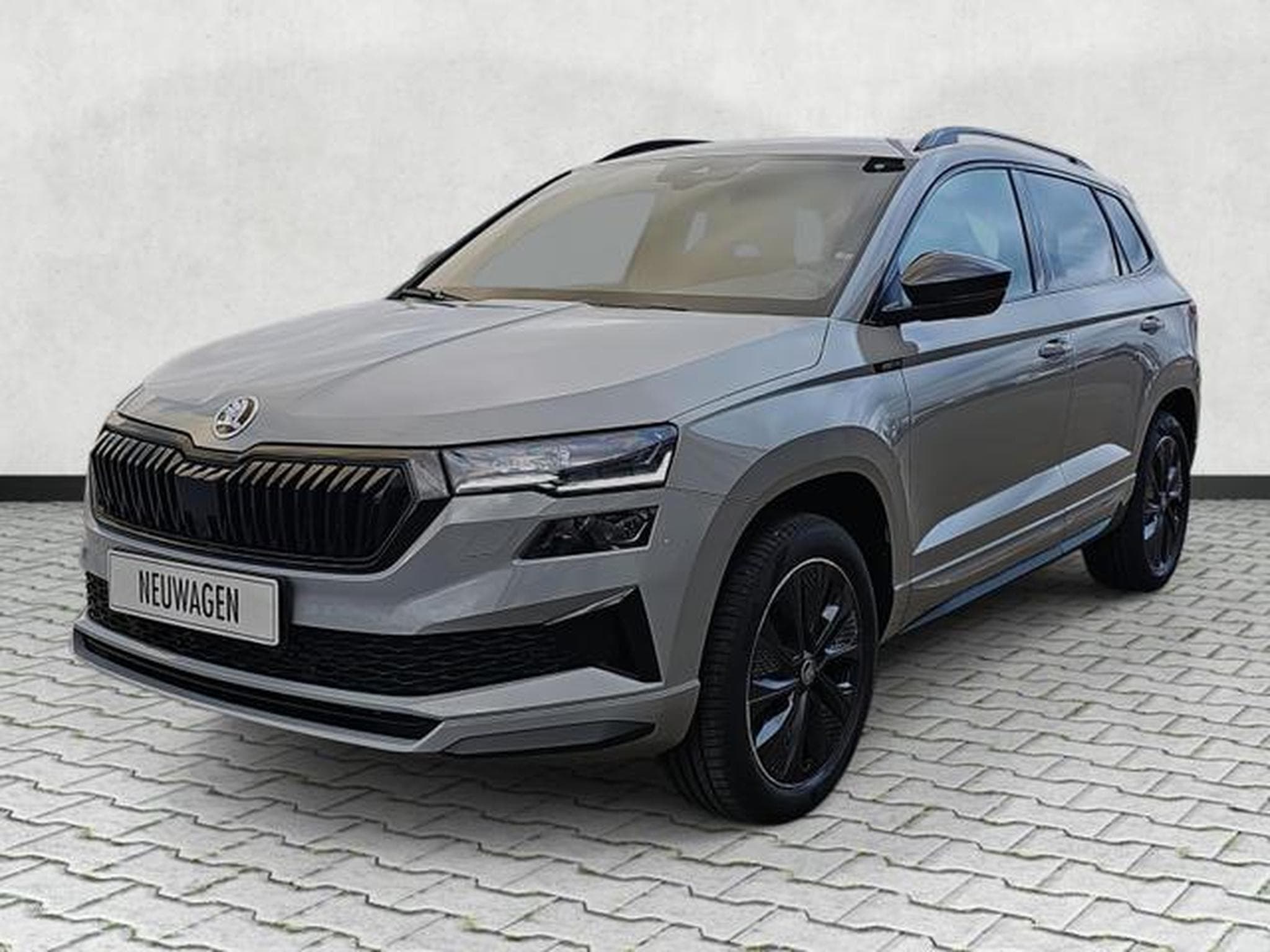 Skoda Karoq Sportline 4x4 (2026) - Photo 3