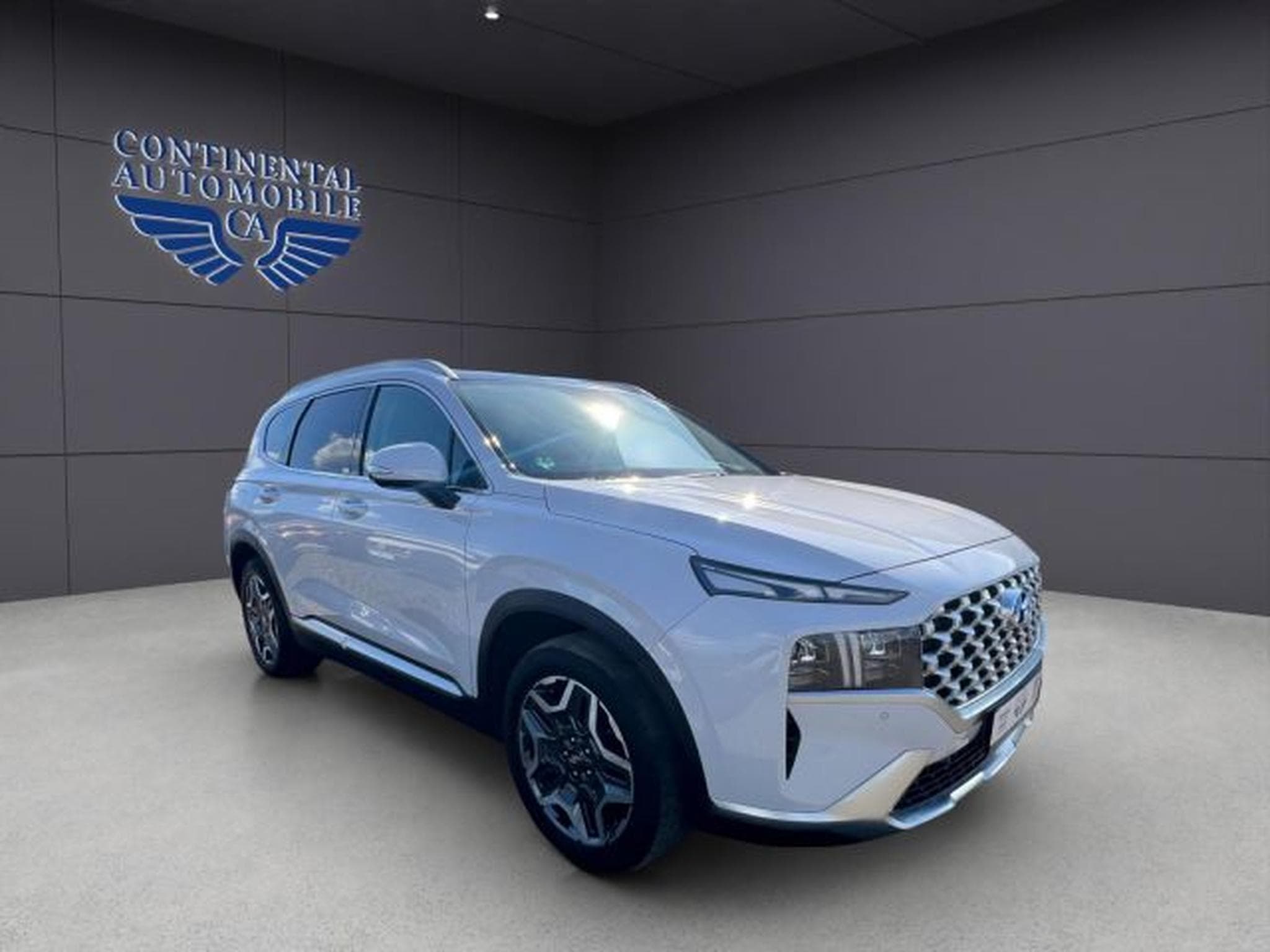 Hyundai SANTA FE Santa Fe Prime Plug-In Hybrid KLIMA,NAVI,PDC, (2021) - Photo 7
