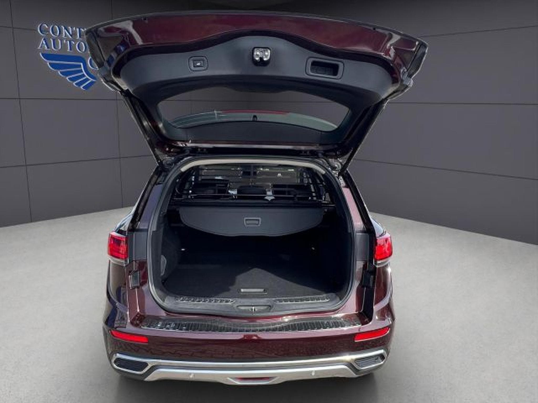 Renault Koleos Koleos Initiale Paris 4x4 KLIMA,NAVI,PDC,PANO (2022) - Photo 7