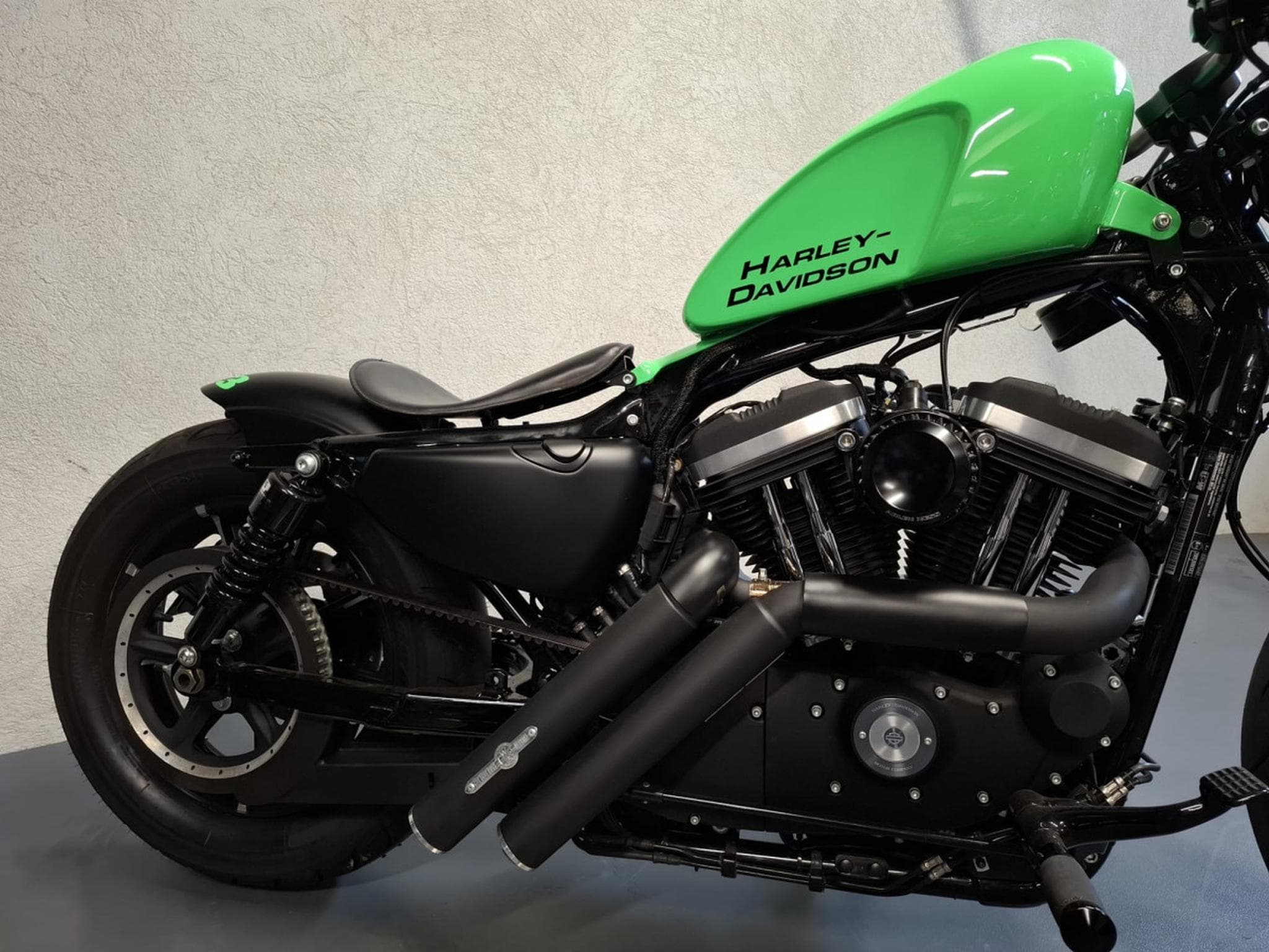 Harley-Davidson Iron 883 XL883N Green Racing (2015) - Photo 16
