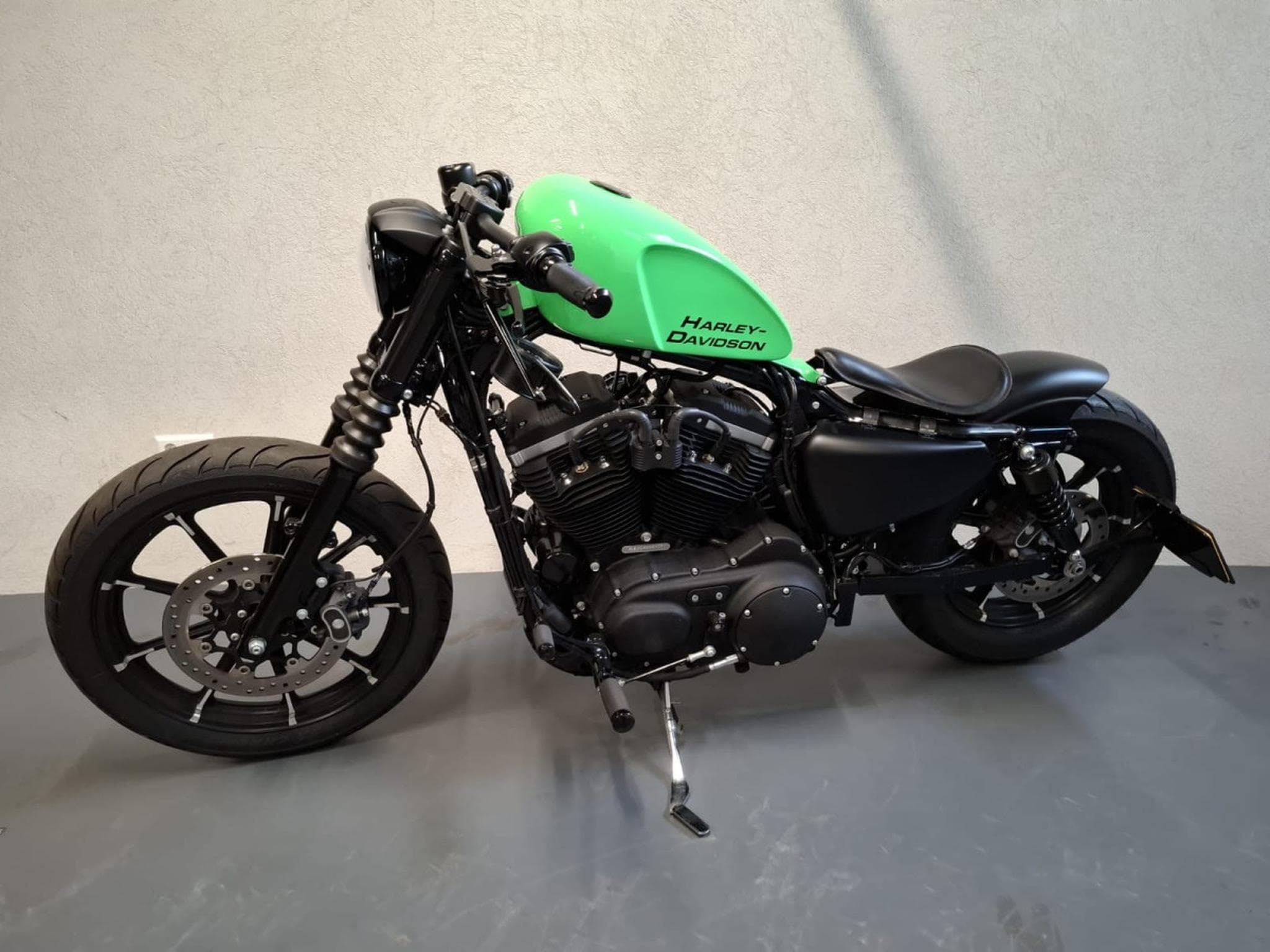 Harley-Davidson Iron 883 XL883N Green Racing (2015) - Photo 2