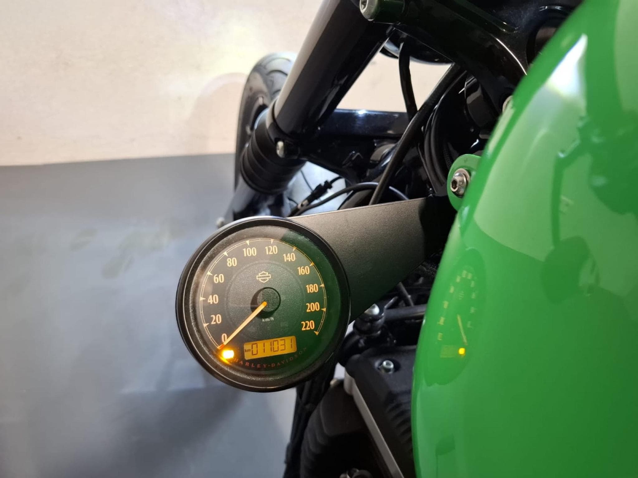 Harley-Davidson Iron 883 XL883N Green Racing (2015) - Photo 5