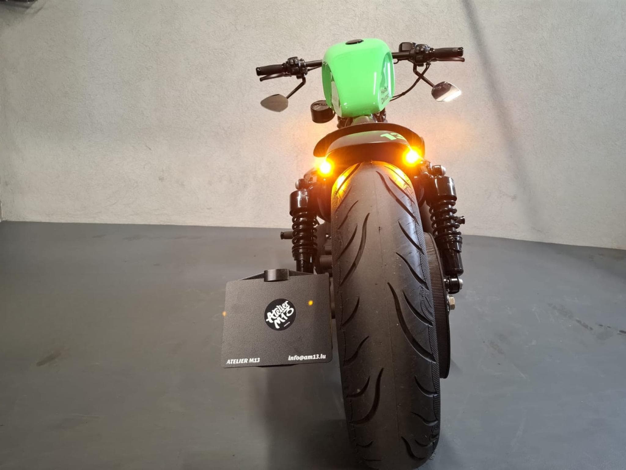 Harley-Davidson Iron 883 XL883N Green Racing (2015) - Photo 9