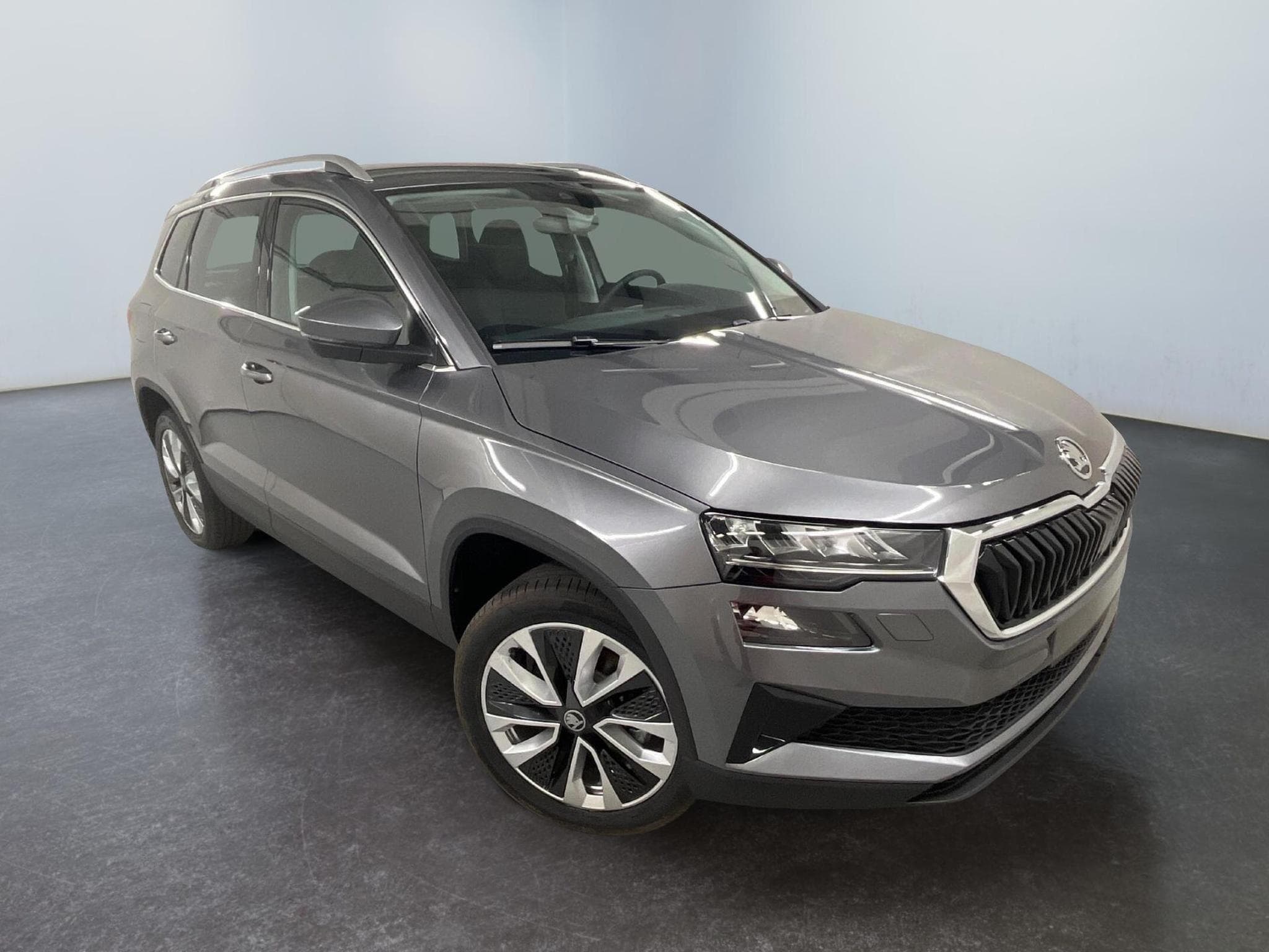 Skoda Karoq Selection (2026) - Photo 1
