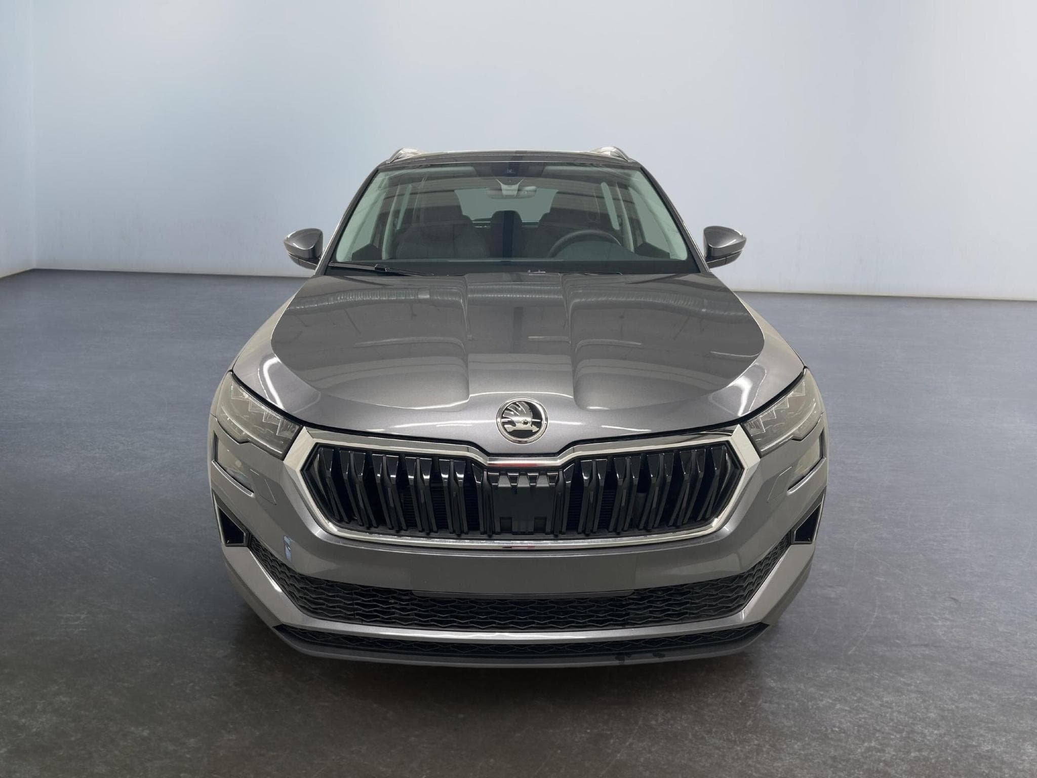 Skoda Karoq Selection (2026) - Photo 2