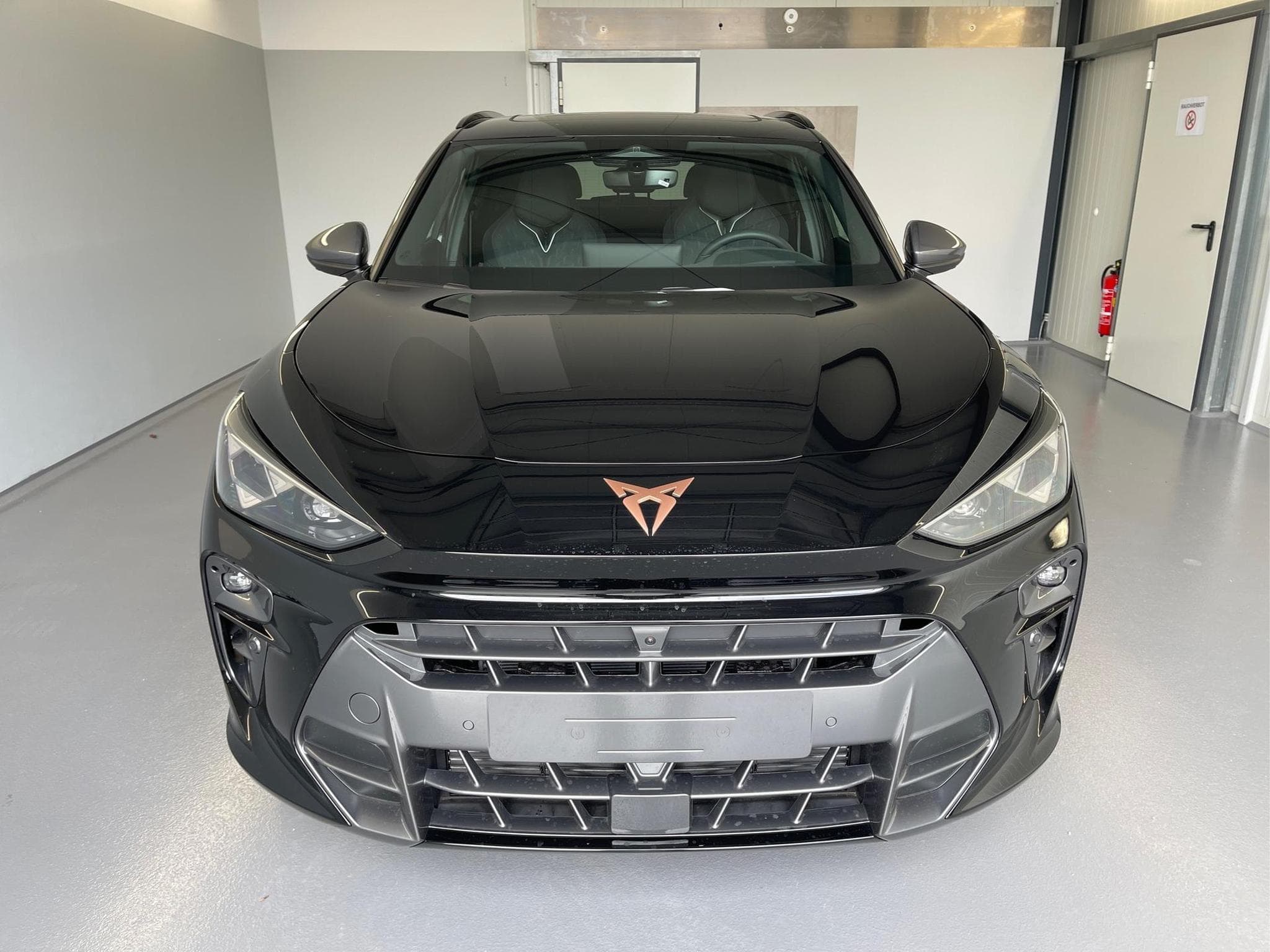 Cupra Terramar VZ (2026) - Photo 2