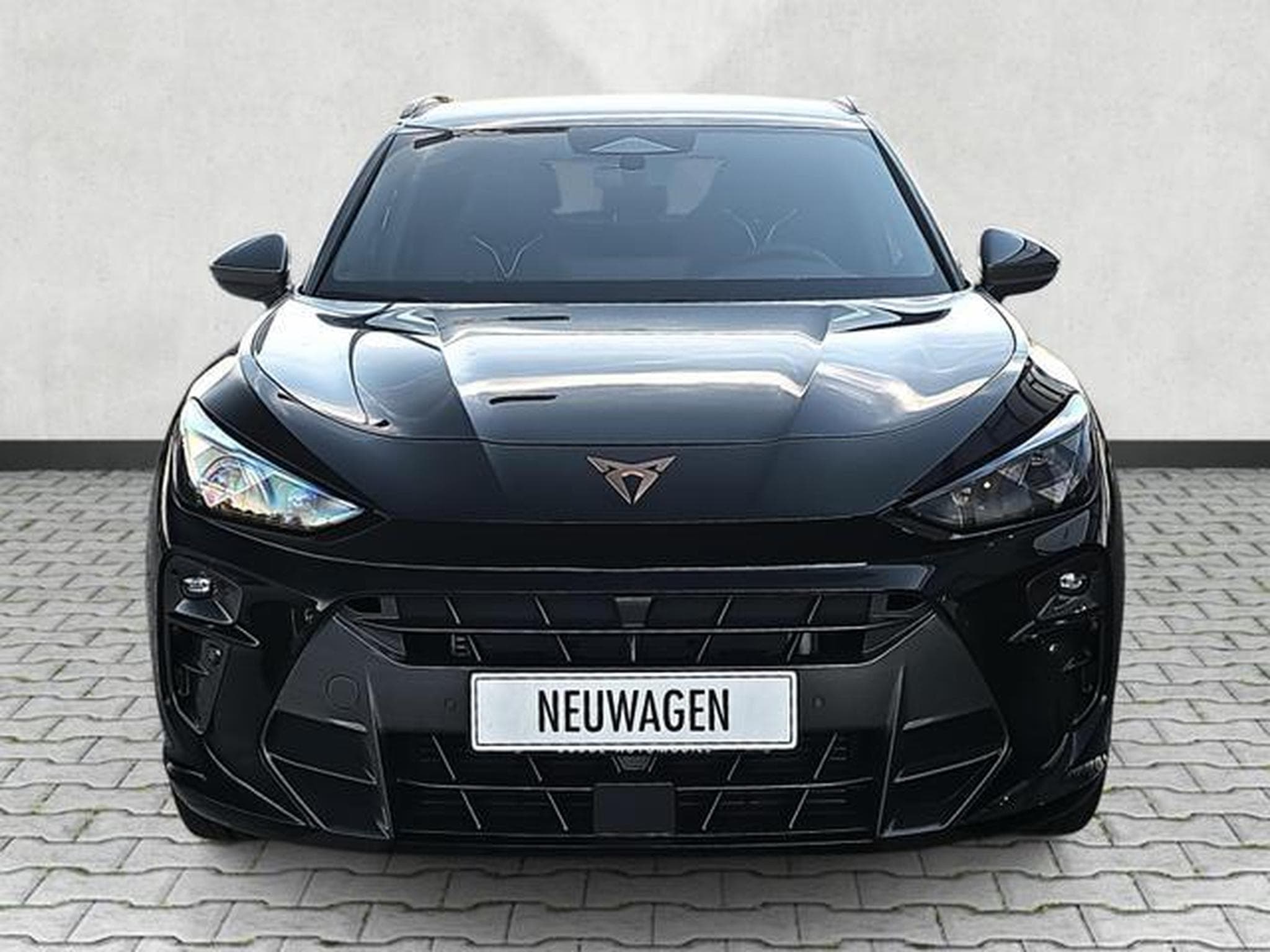 Cupra Terramar 2.0 TSI 195 kW 4Drive VZ (2025) - Foto 2
