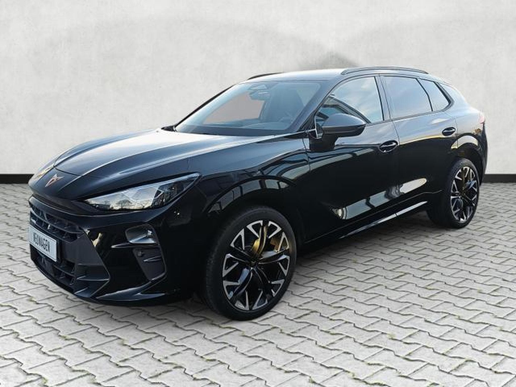 Cupra Terramar 2.0 TSI 195 kW 4Drive VZ (2025) - Foto 3