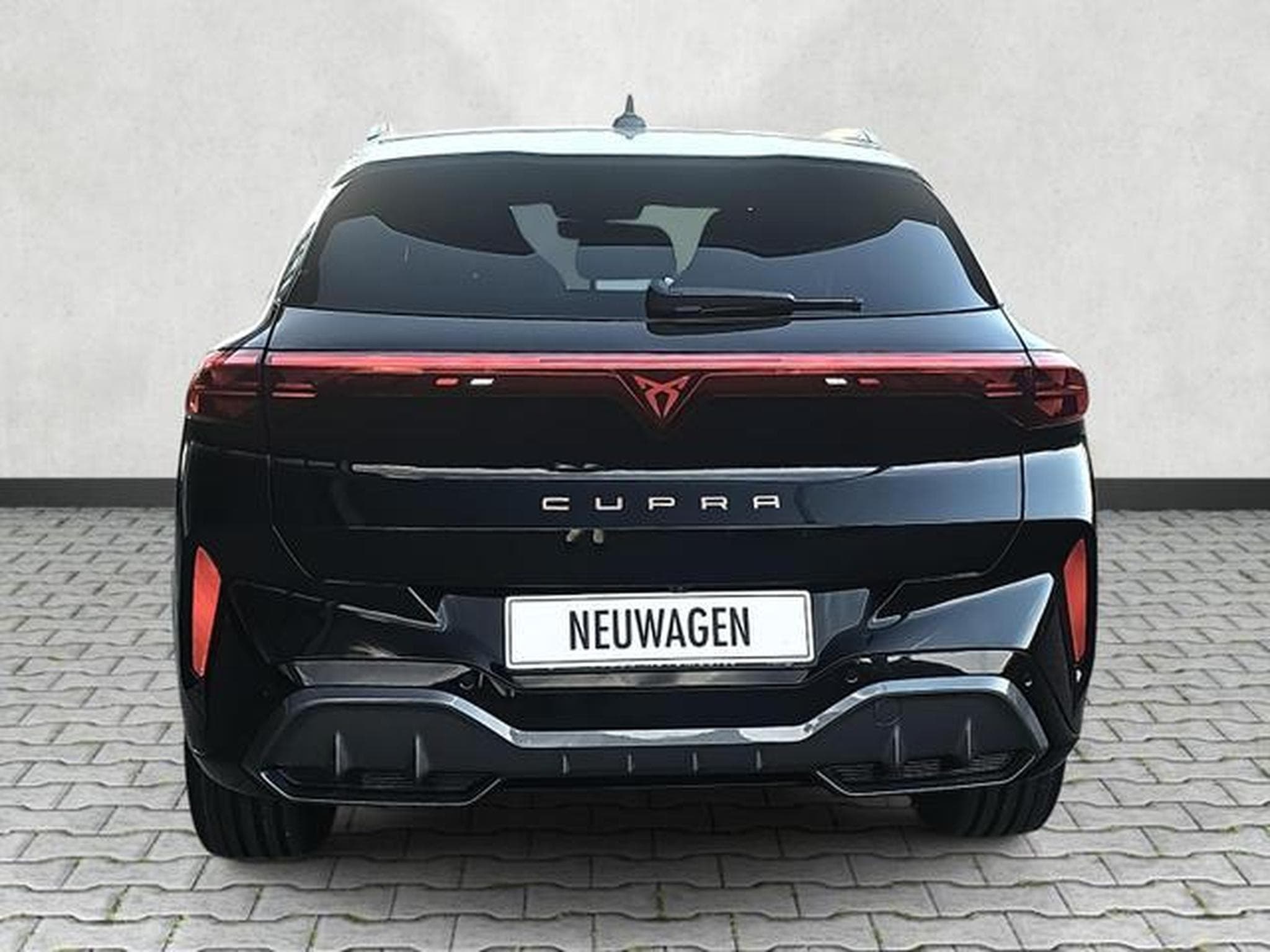 Cupra Terramar 2.0 TSI 195 kW 4Drive VZ (2025) - Foto 6