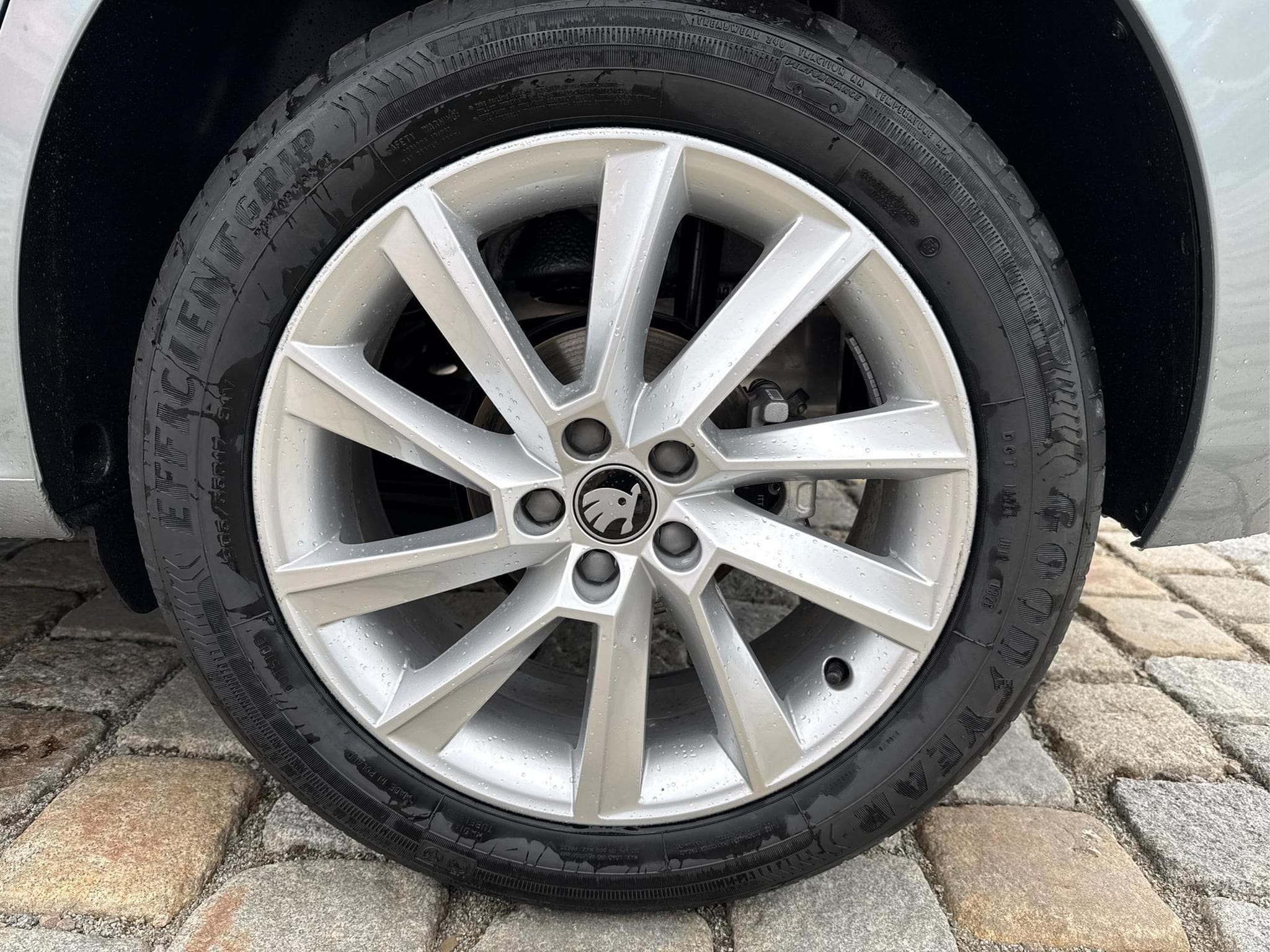 Skoda Kamiq 130 Jahre Premium (2026) - Foto 12