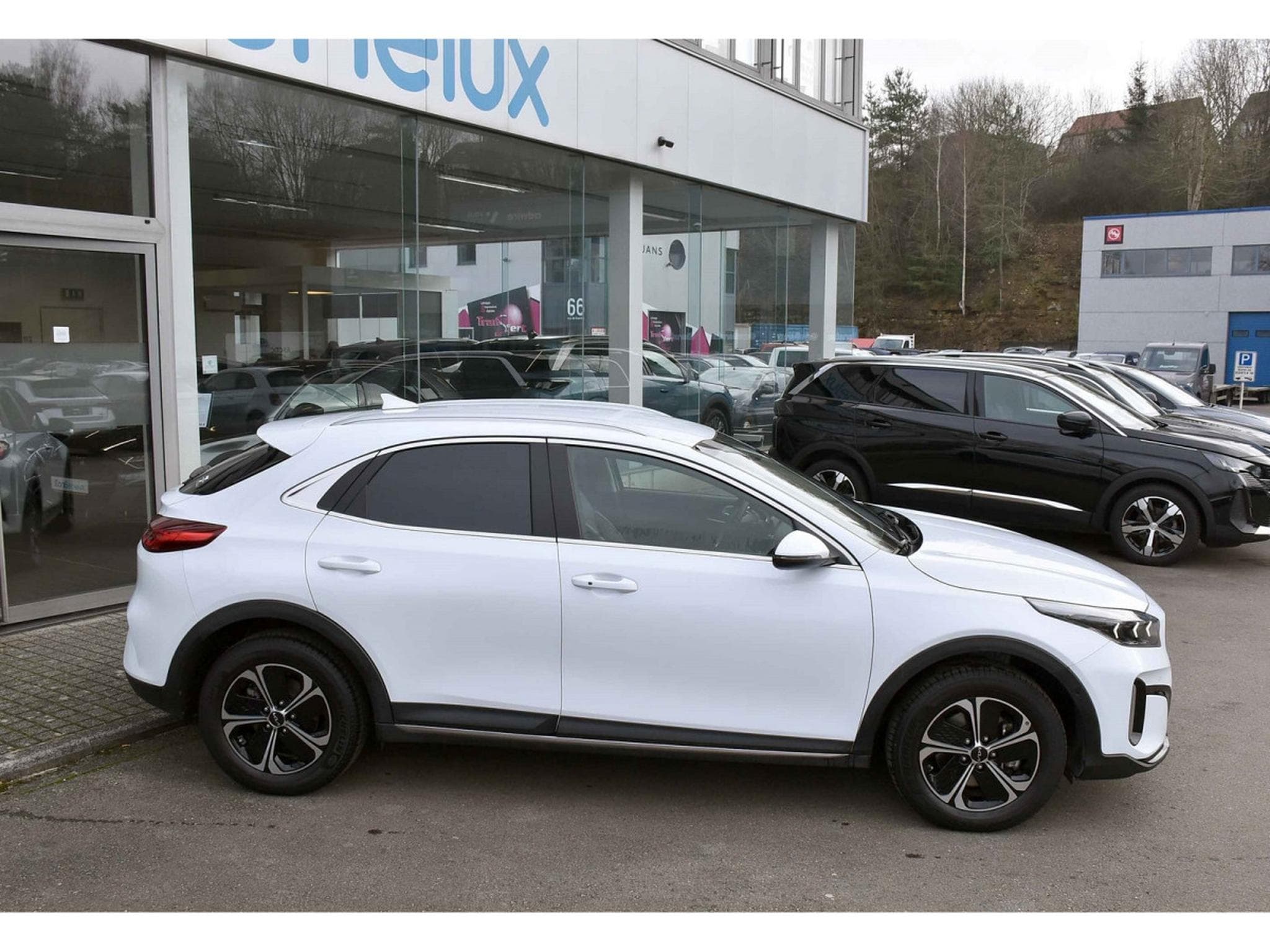Kia XCeed 1.6 GDI PHEV Business Line DCT ACC LANE SIDE CAM 1° MAIN (2023) - Foto 3