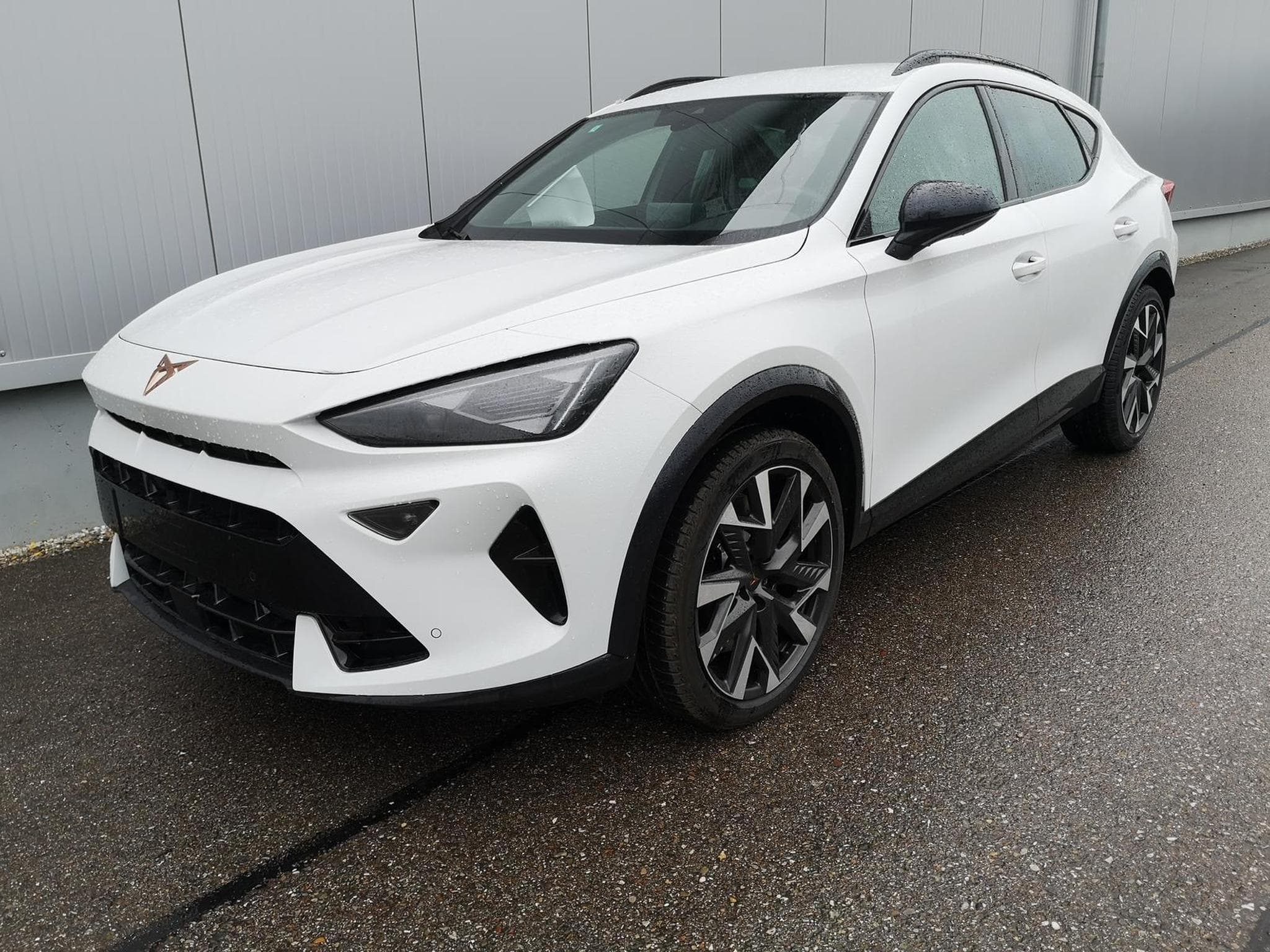 Cupra Formentor VZ 2.0 TSI 245 kW 4Drive (2025) - Photo 1