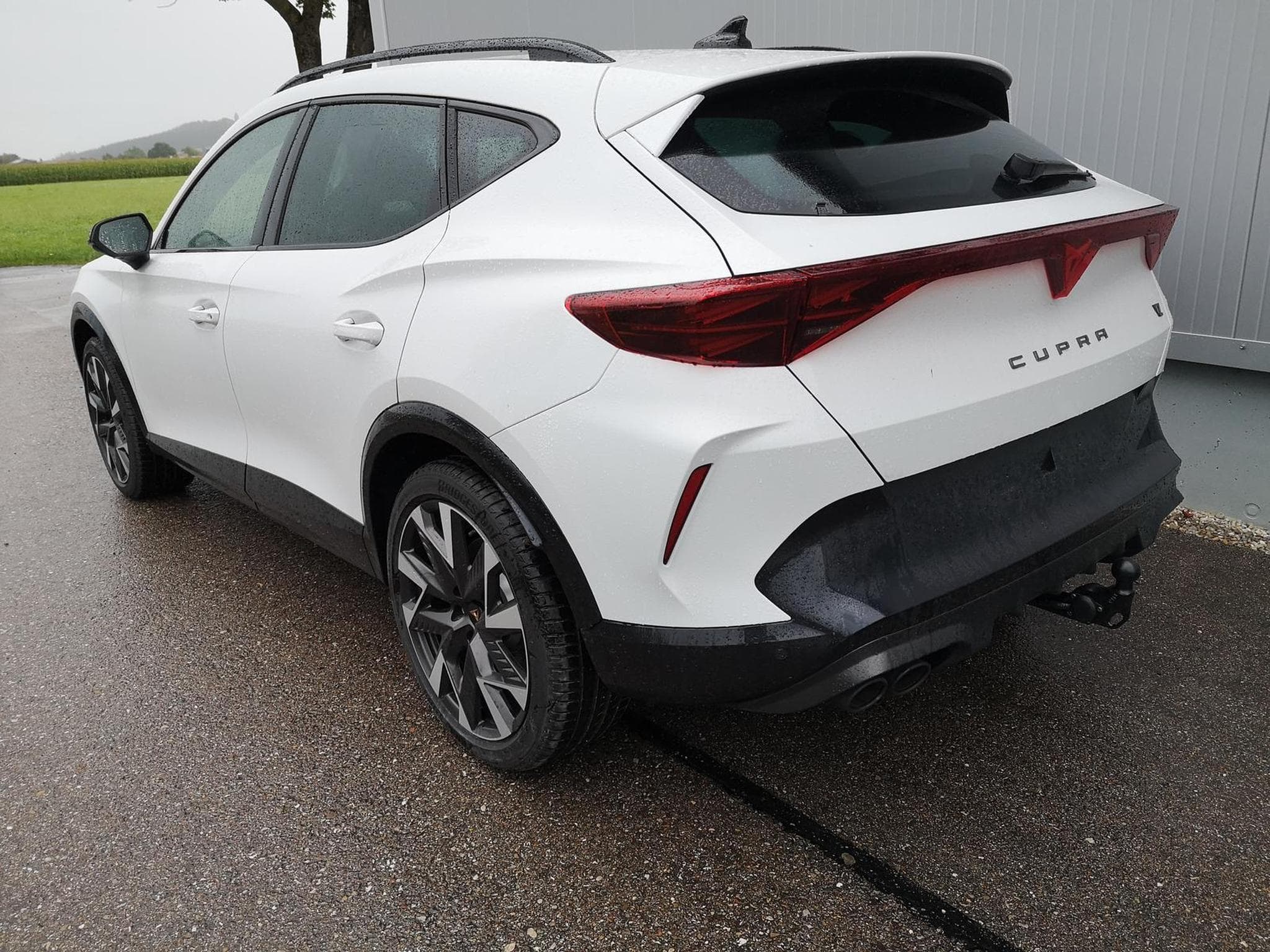 Cupra Formentor VZ 2.0 TSI 245 kW 4Drive (2025) - Photo 3