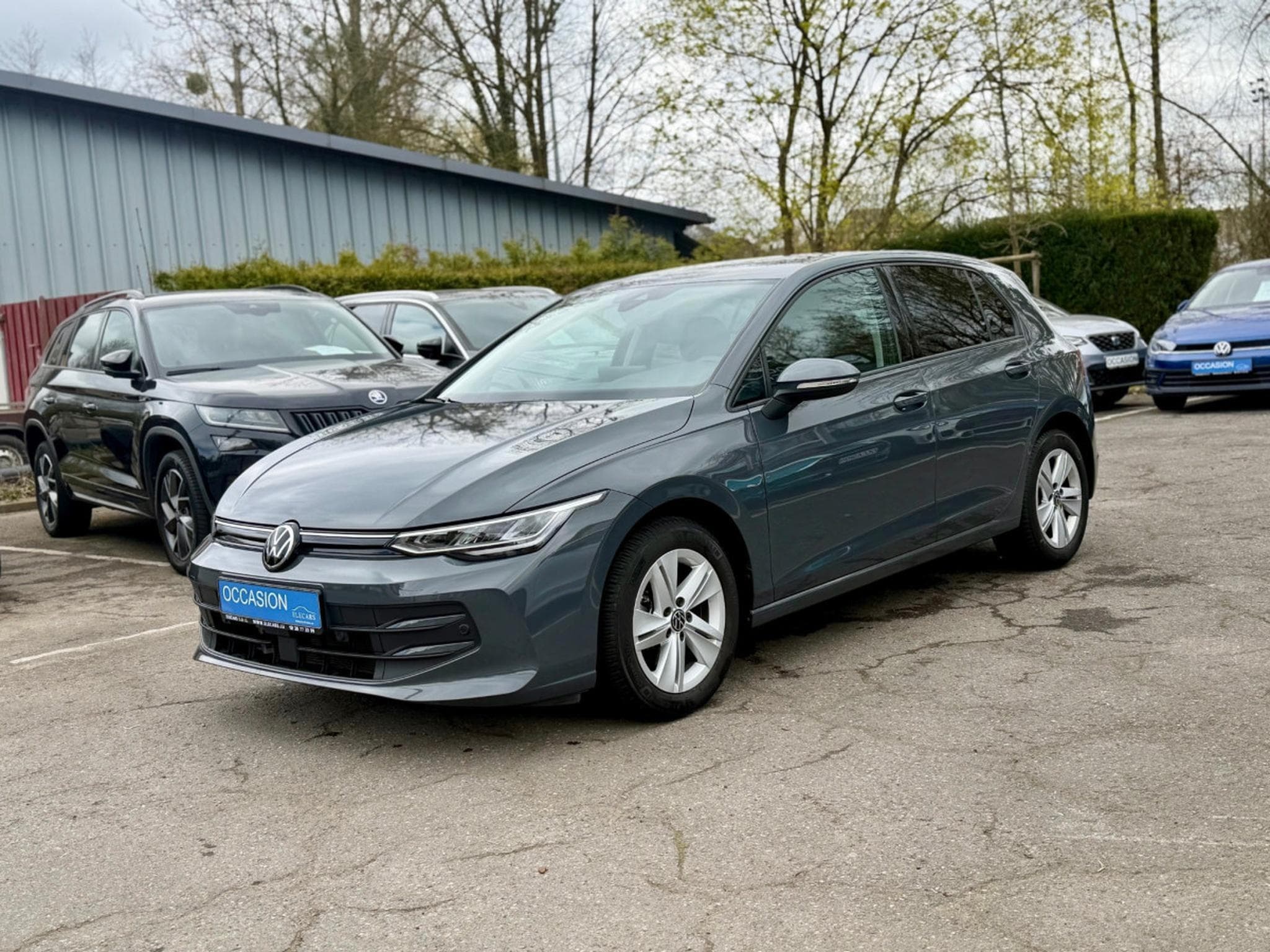 VW Golf 2.0 TDI 150 DSG7 LIFE (2025) - Photo 3