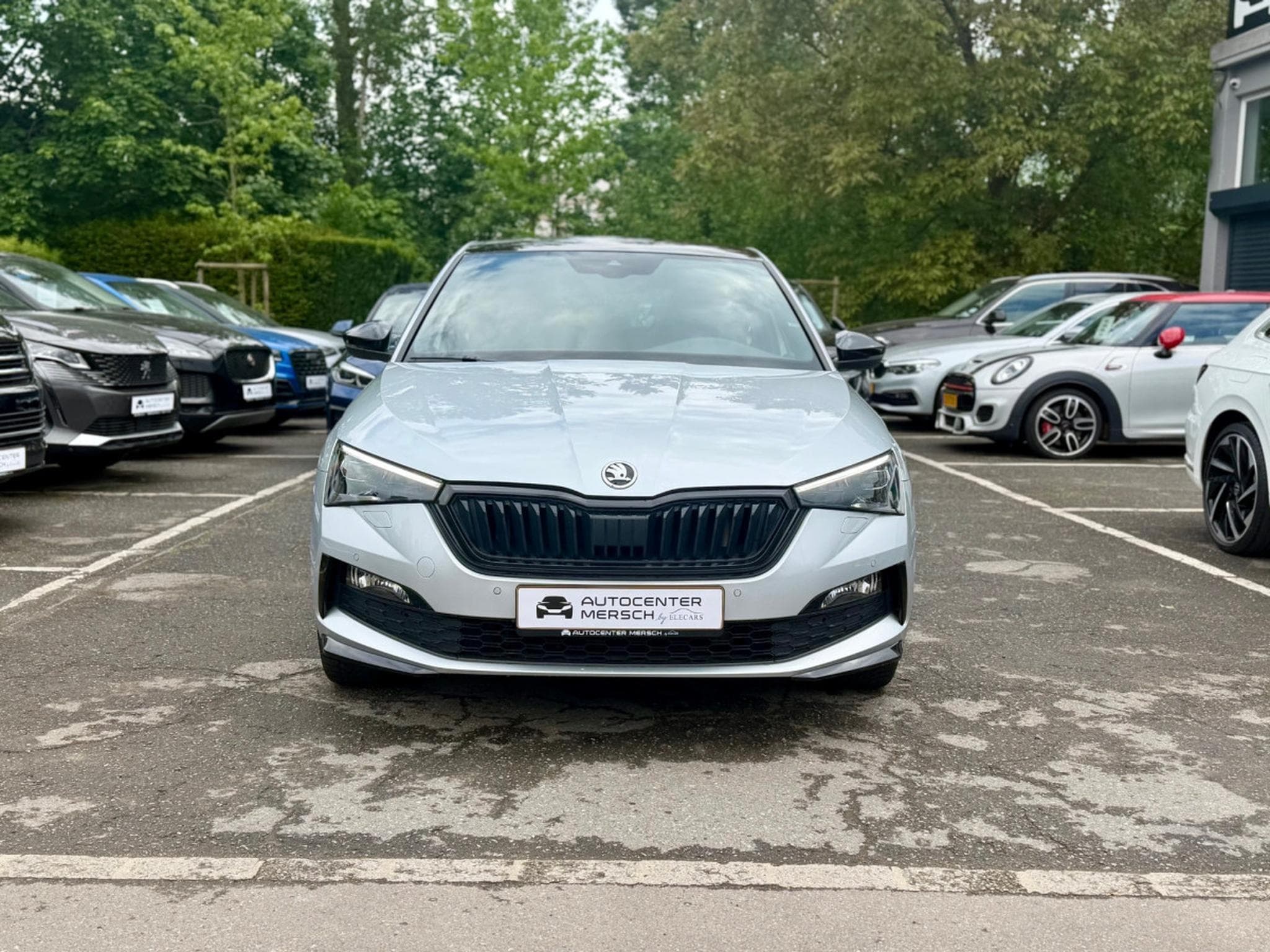 Skoda Scala 1.5 TSI 150 DSG7 Monte Carlo PANO/CAM/LED (2022) - Photo 2